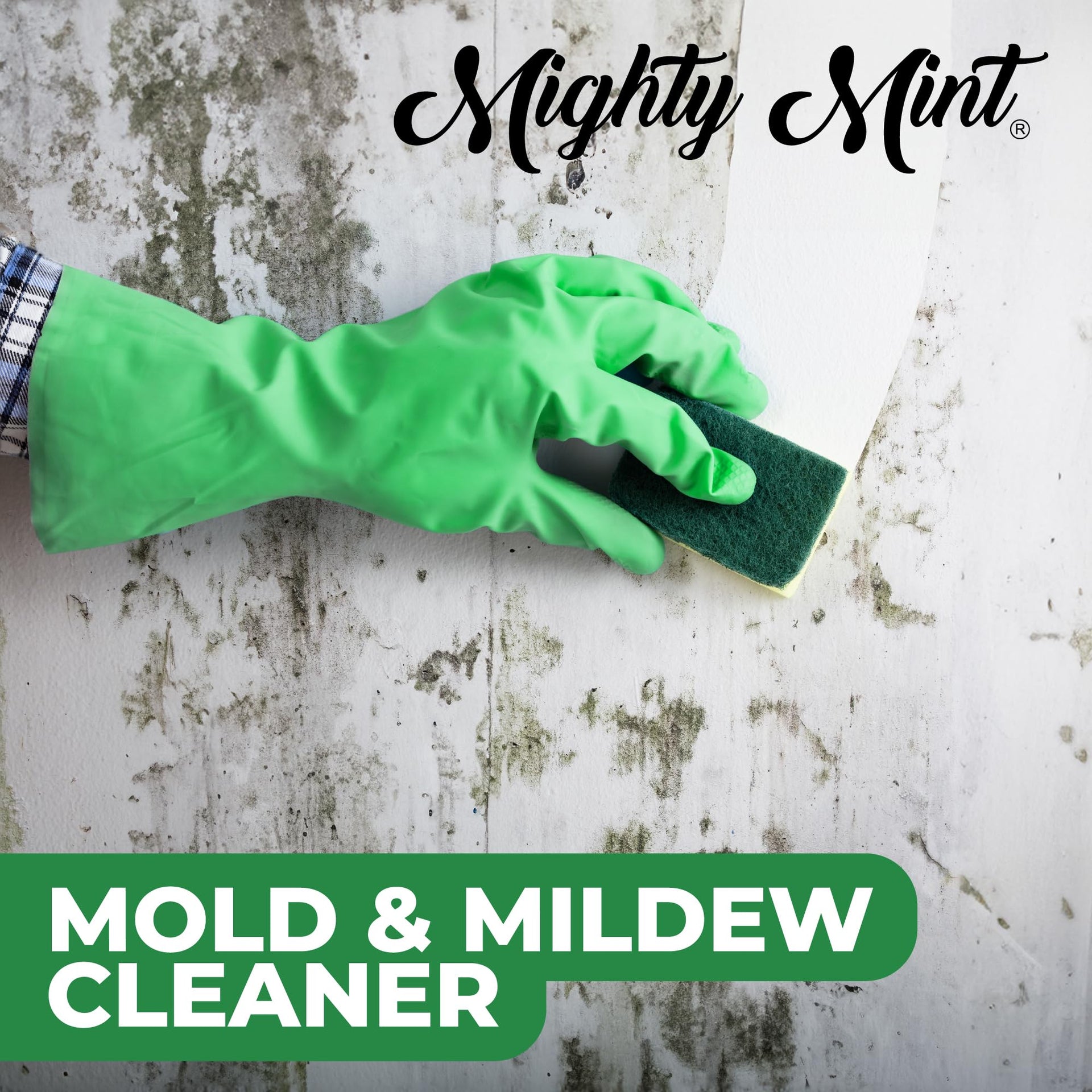 Mold & Mildew Stain Remover Spray (16 Fl Oz) - ModHome Supplies