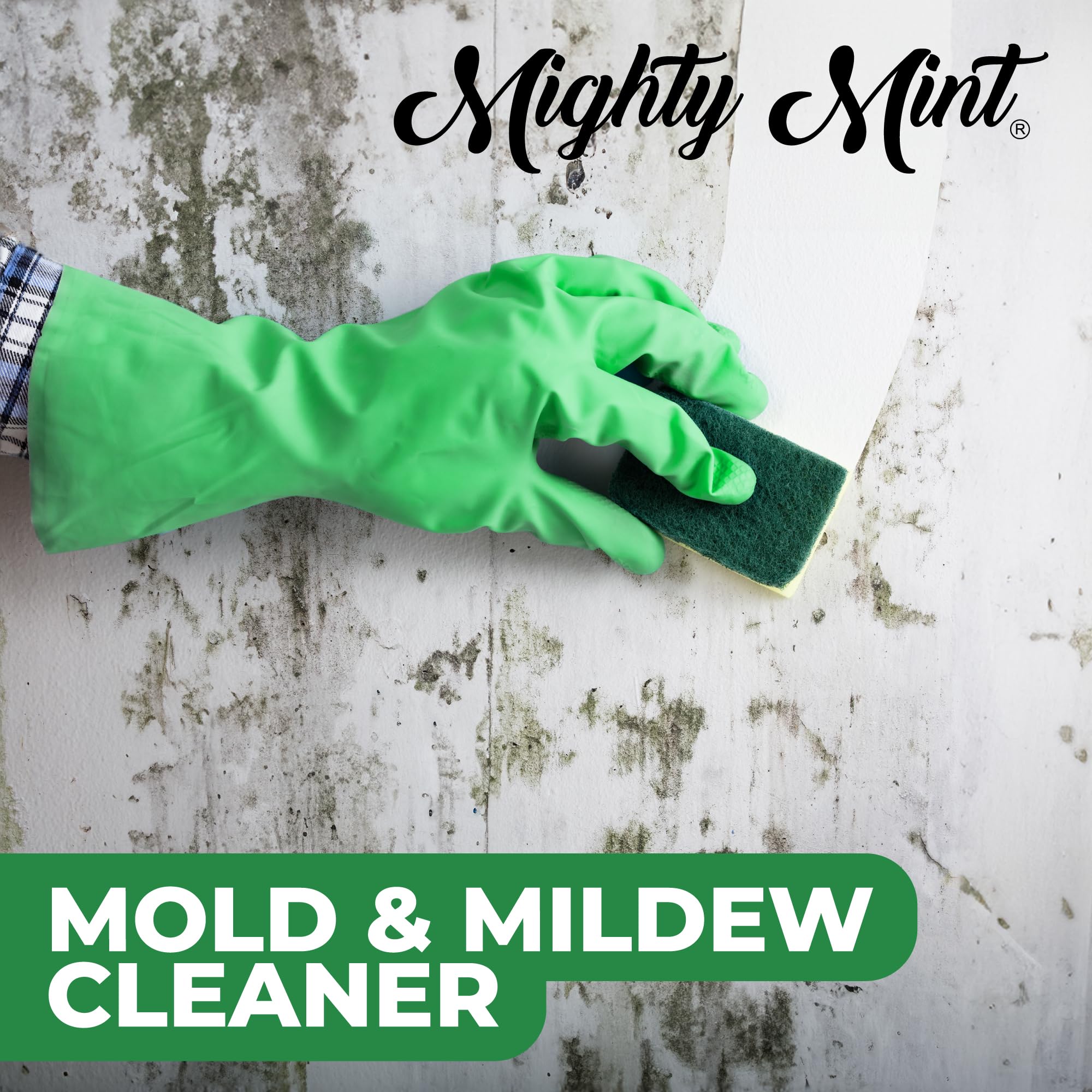 Mold & Mildew Stain Remover Spray (16 Fl Oz) - ModHome Supplies