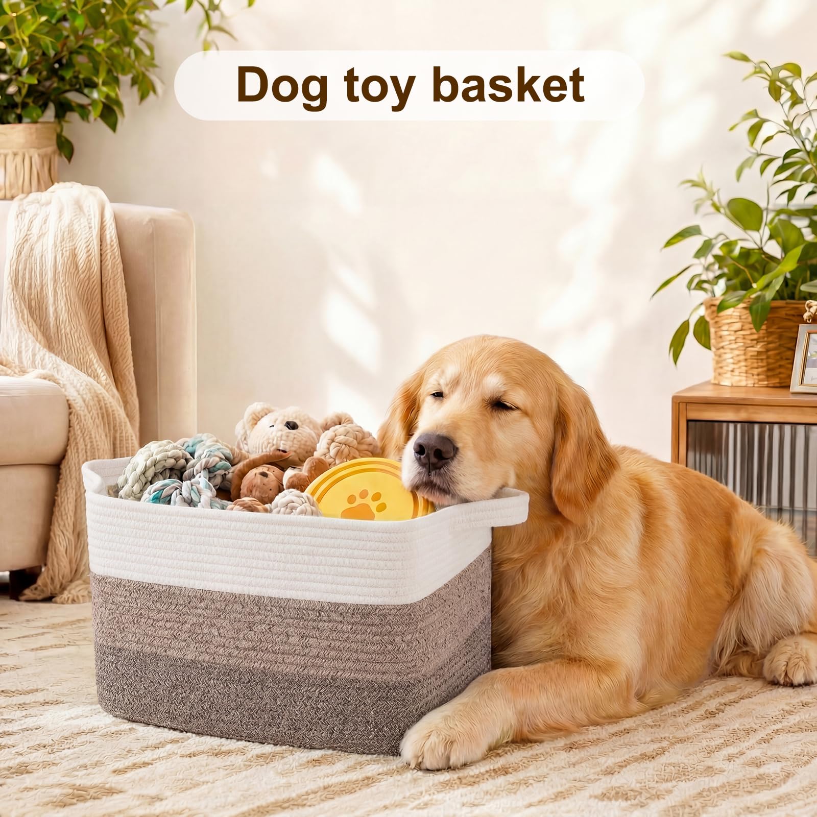 Storage Basket