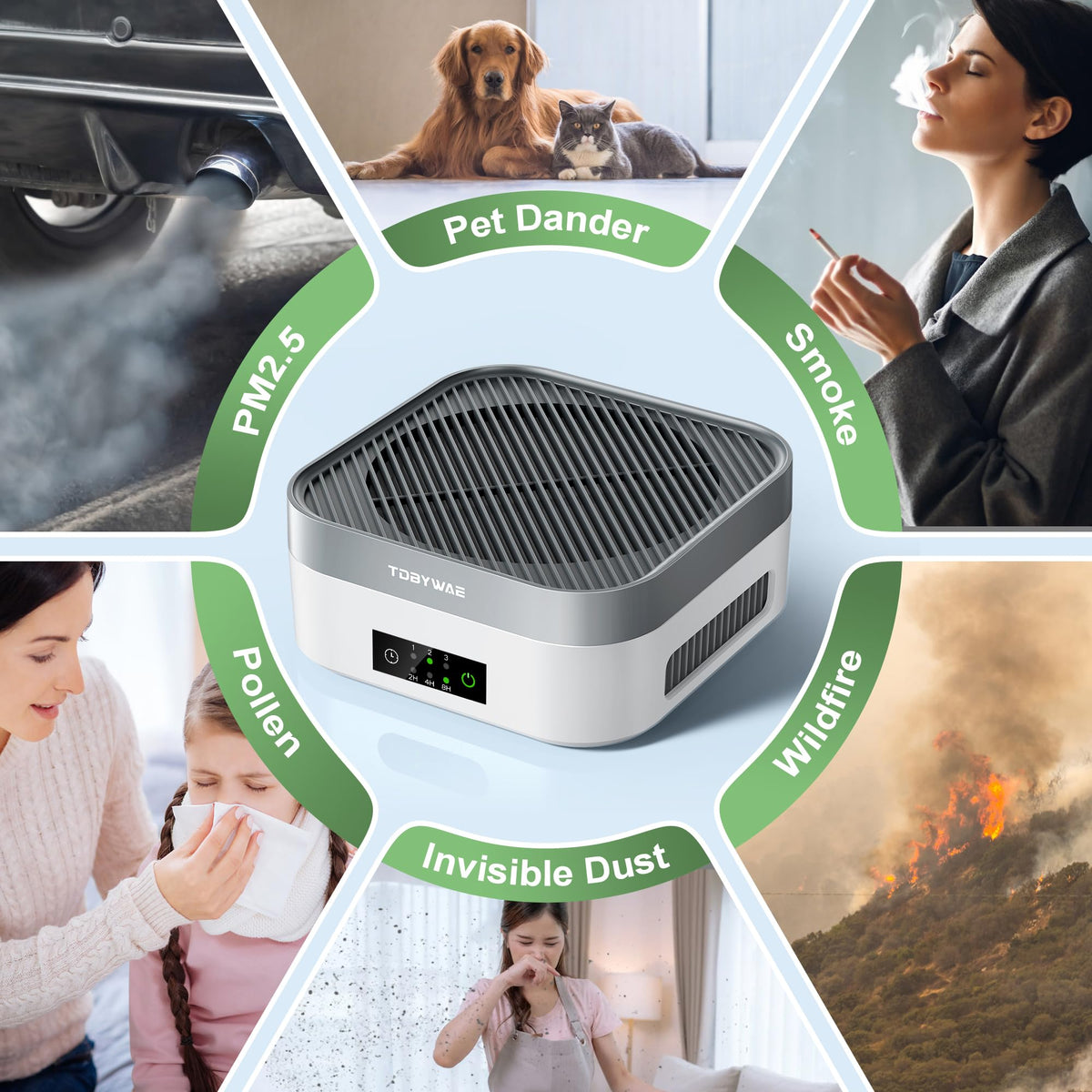 Air Purifier for Home