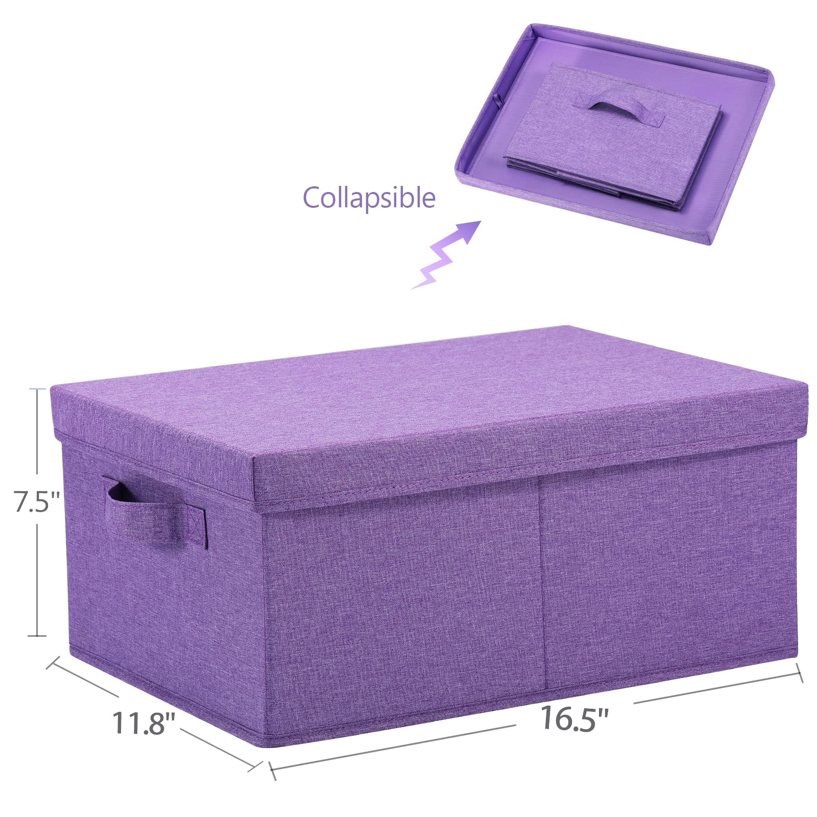 Foldable Storage Bins with Lids (2 Count)
