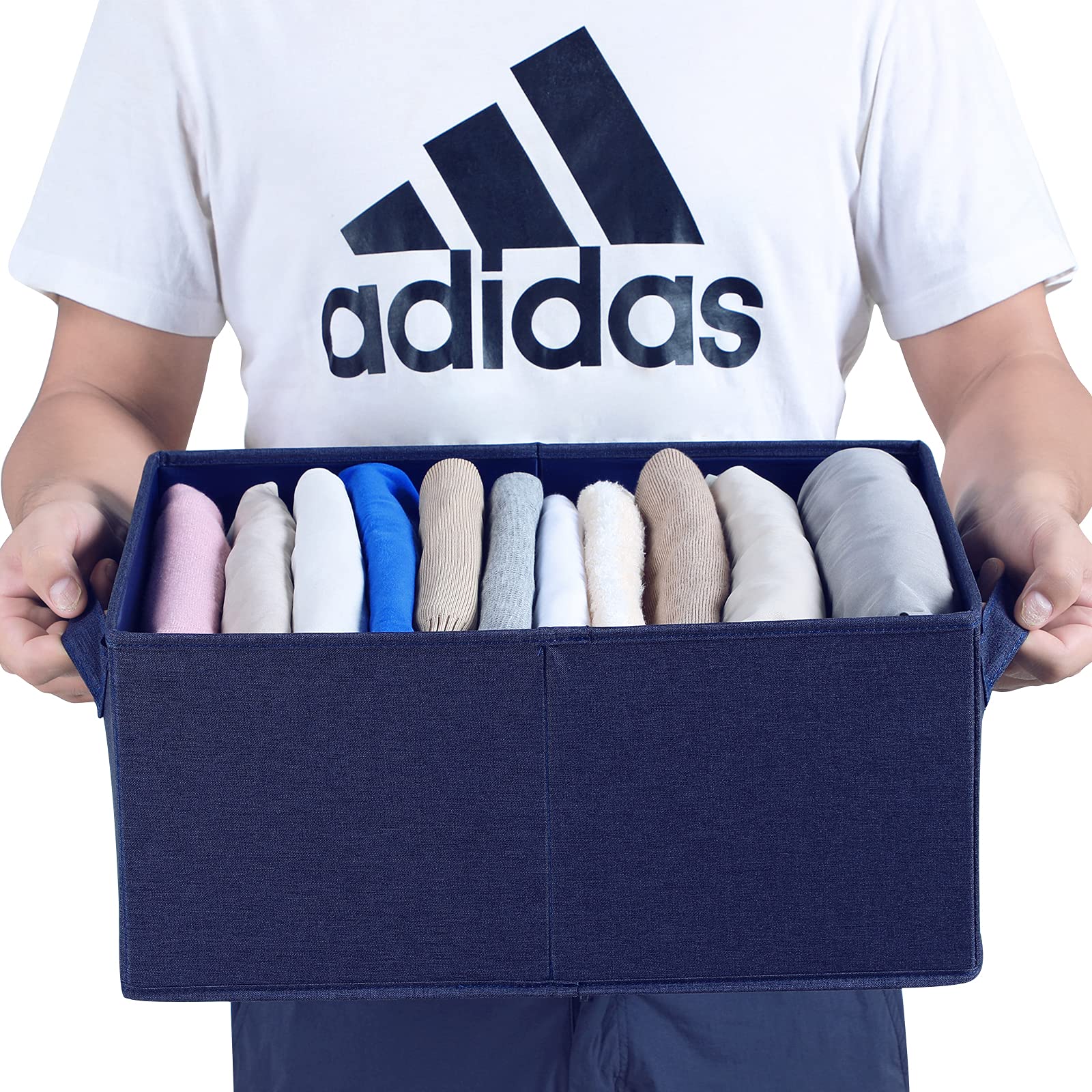 Foldable Storage Bins with Lids (2 Count)