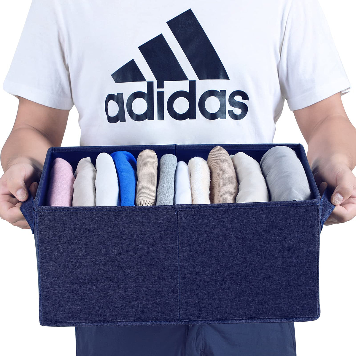 Foldable Storage Bins with Lids (2 Count)