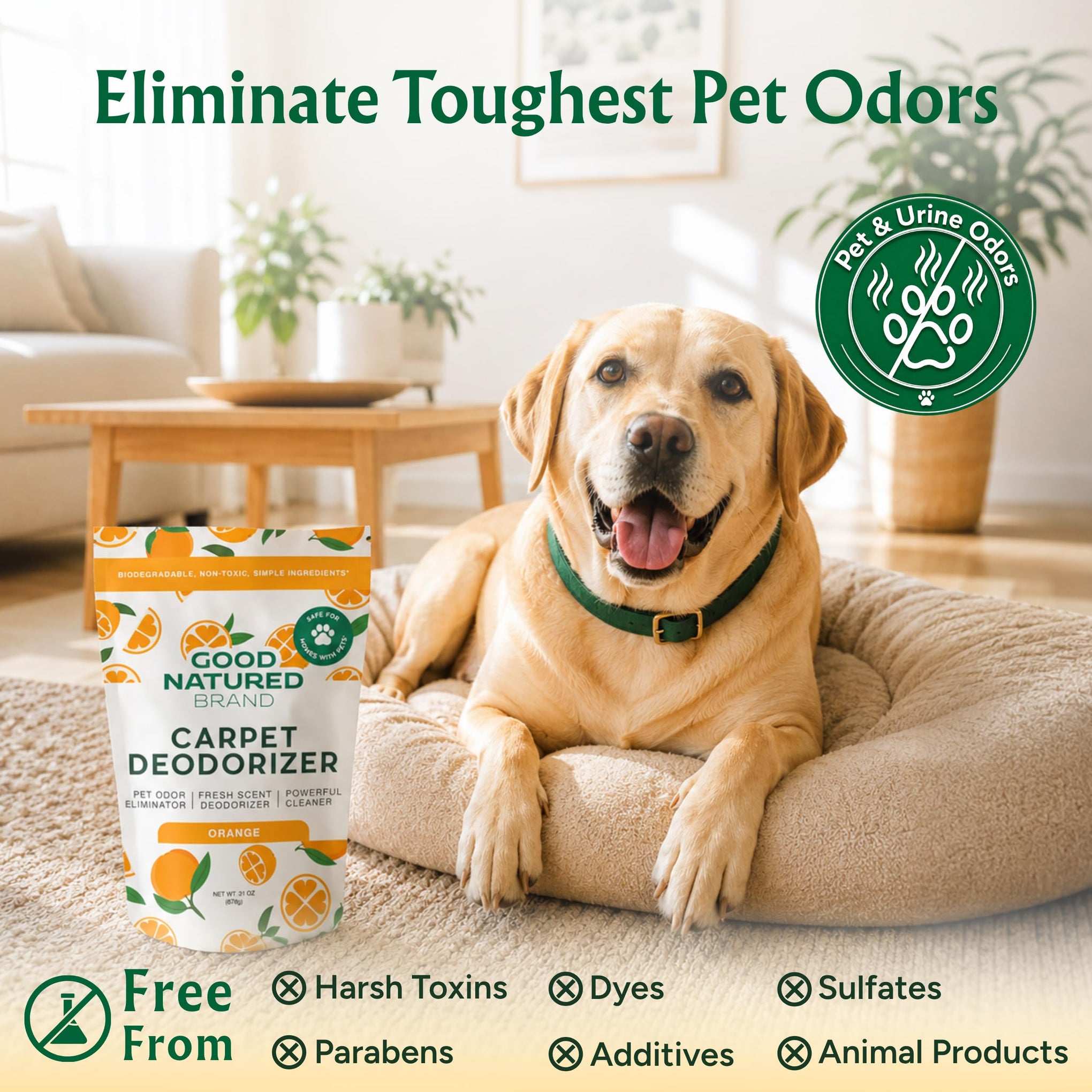 Carpet Deodorizer & Freshener Powder (31 Ounce)
