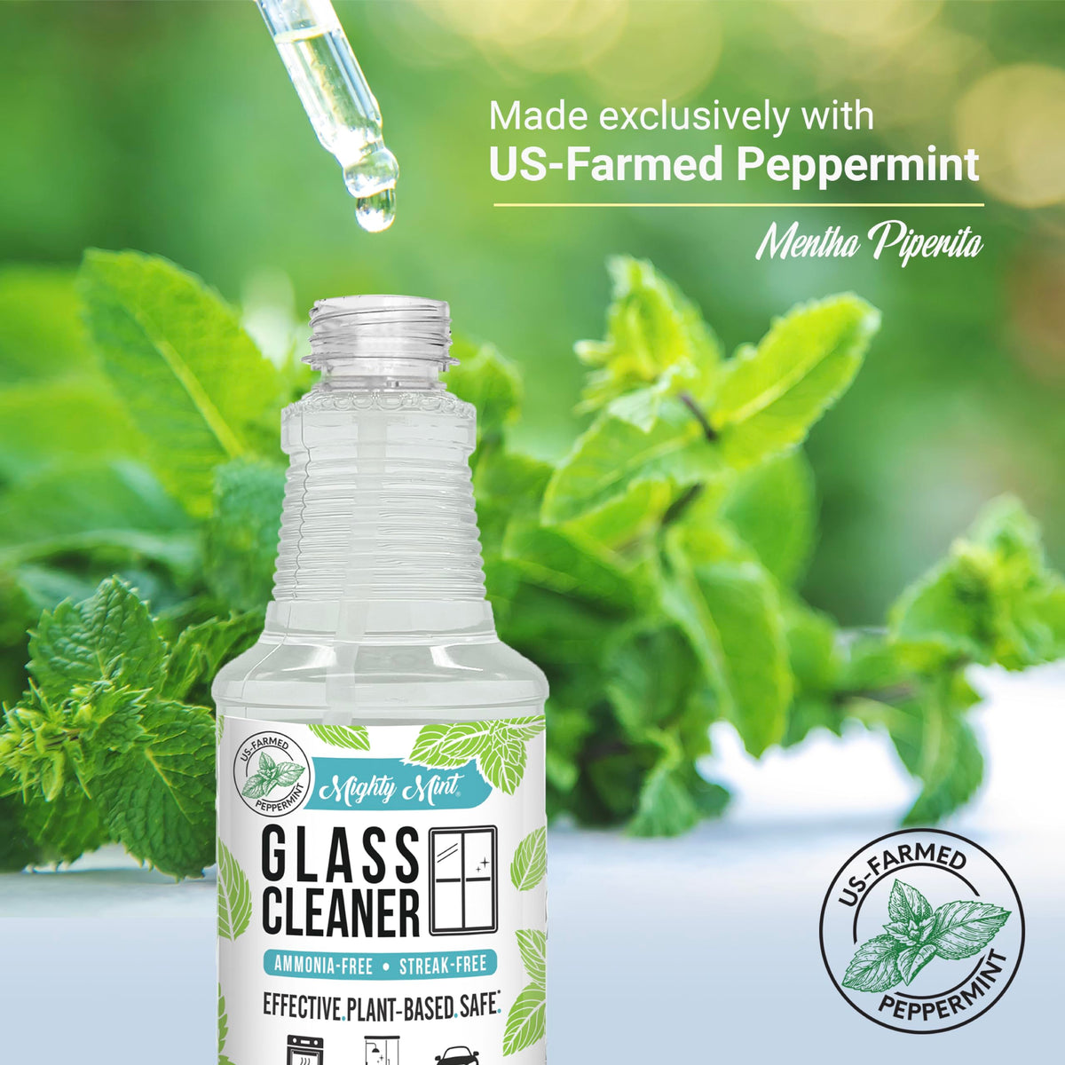 Glass Cleaner (16 Fl Oz)