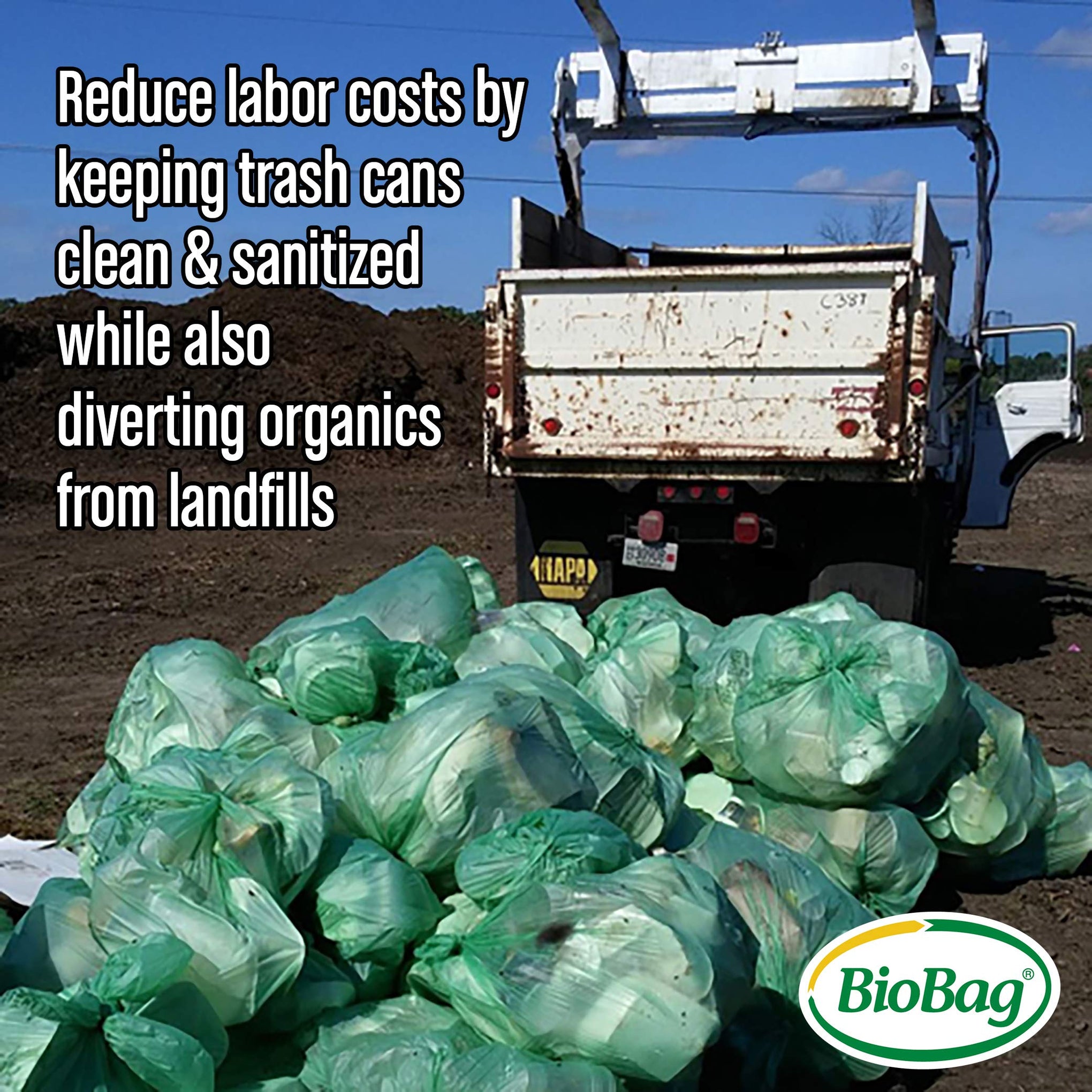 USA) The Original Compostable Bag, 8 Gallon, 500 Count, 100% Certified Compostable Trash Bag Liners for Food Waste, Extra Strong and Durable