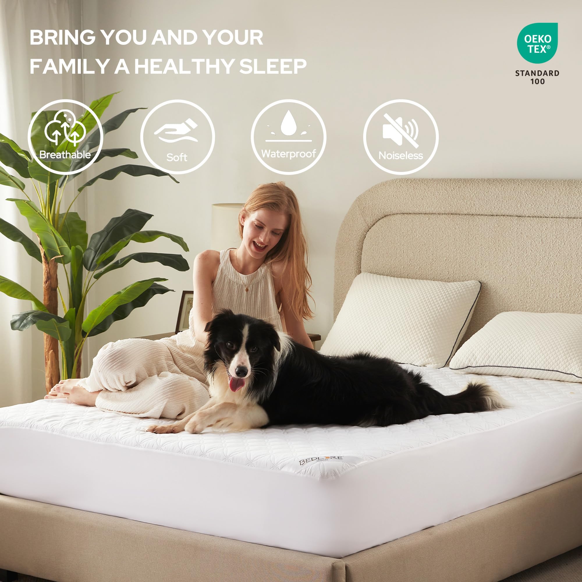 Waterproof Queen Size Mattress Protector