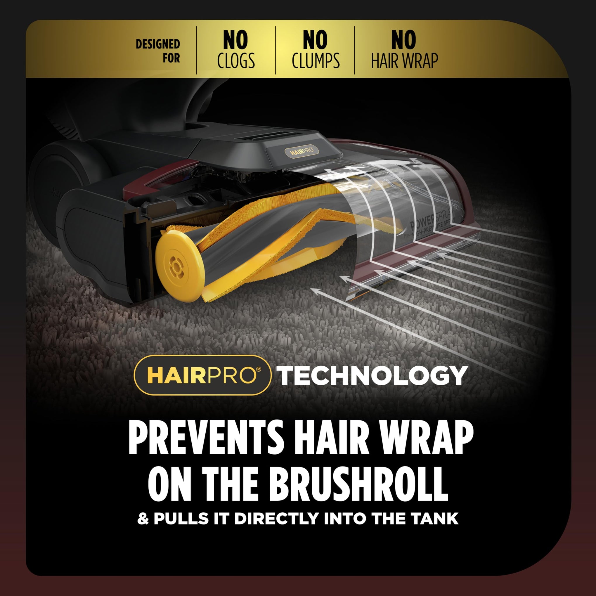 CarpetXpert HairPro