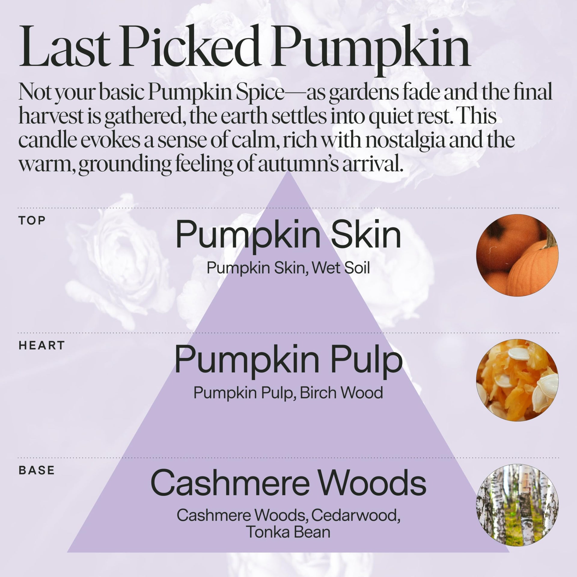 Siblings Candle Refill Kit Last Picked Pumpkin Spice Scent