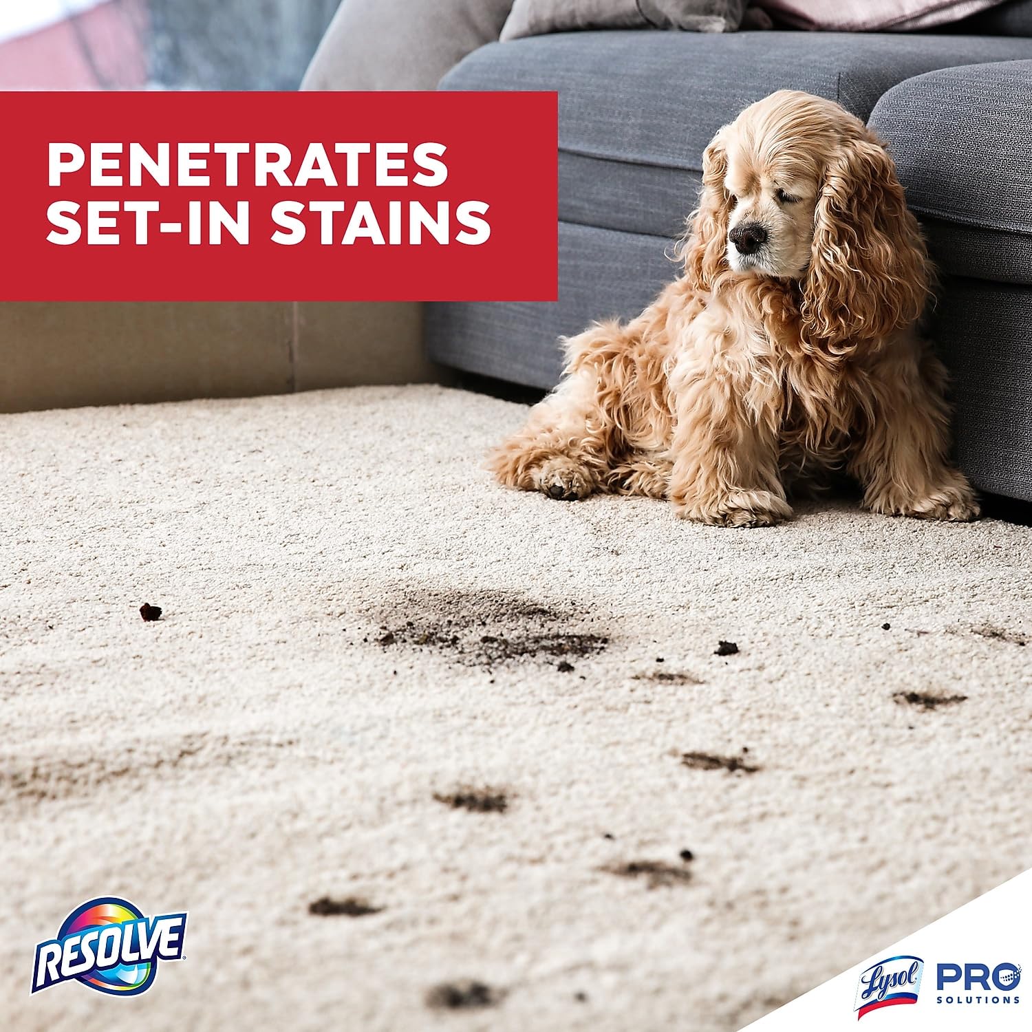 Professional Strength Spot and Stain Carpet Cleaner (32 Fl Oz) - ModHome Supplies
