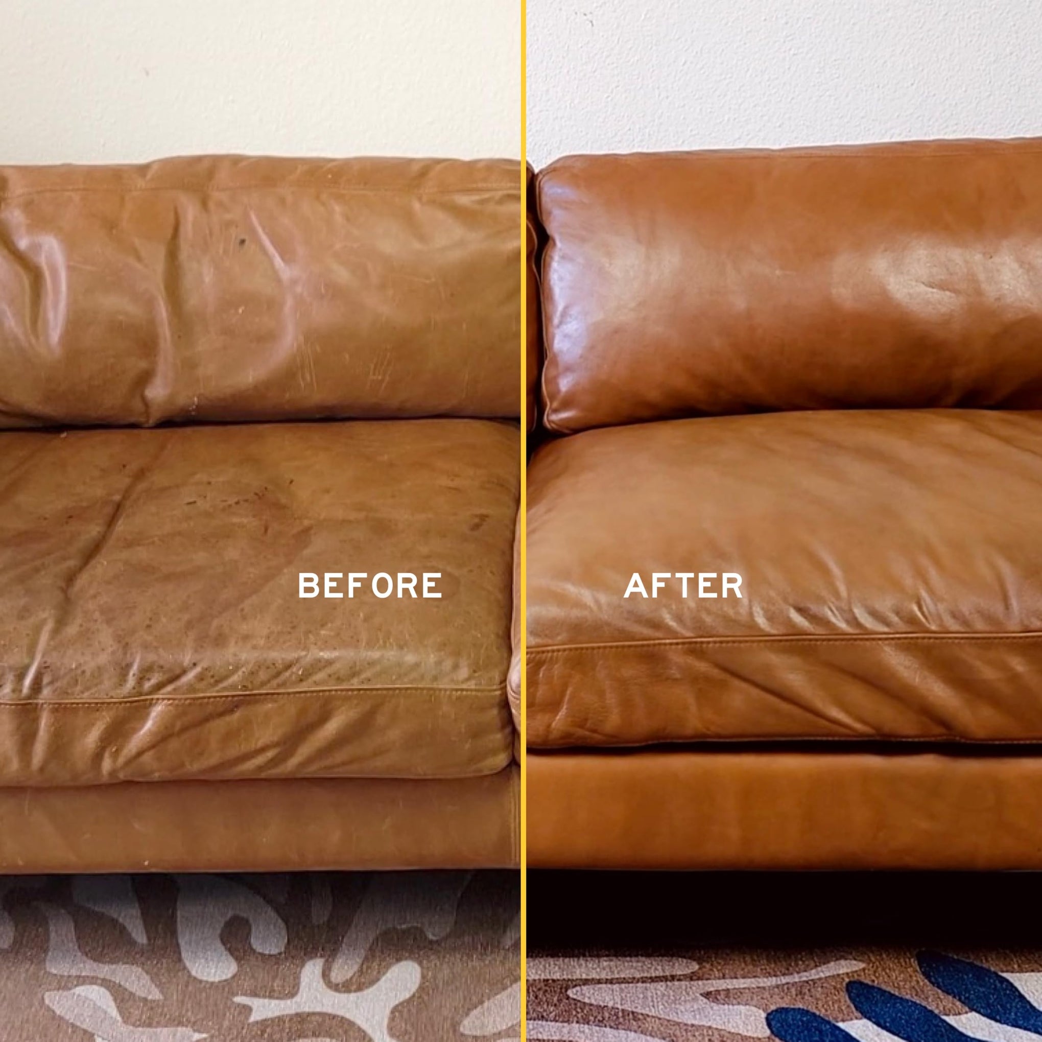 Leather Cleaner Concentrate