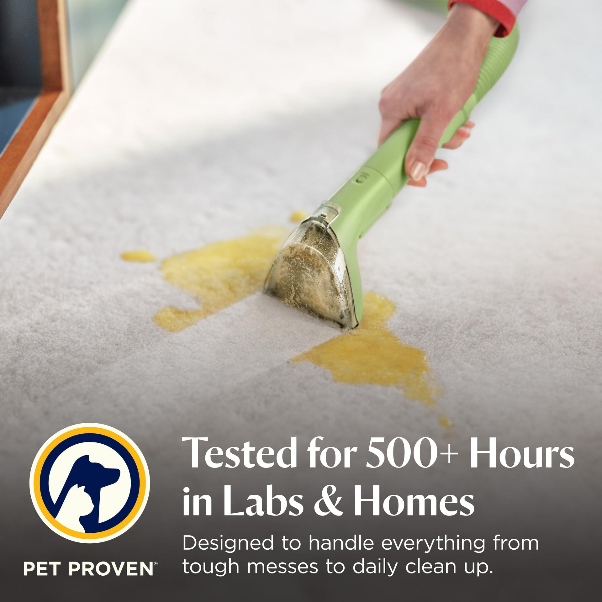 Little Green Mini Portable Carpet Cleaner