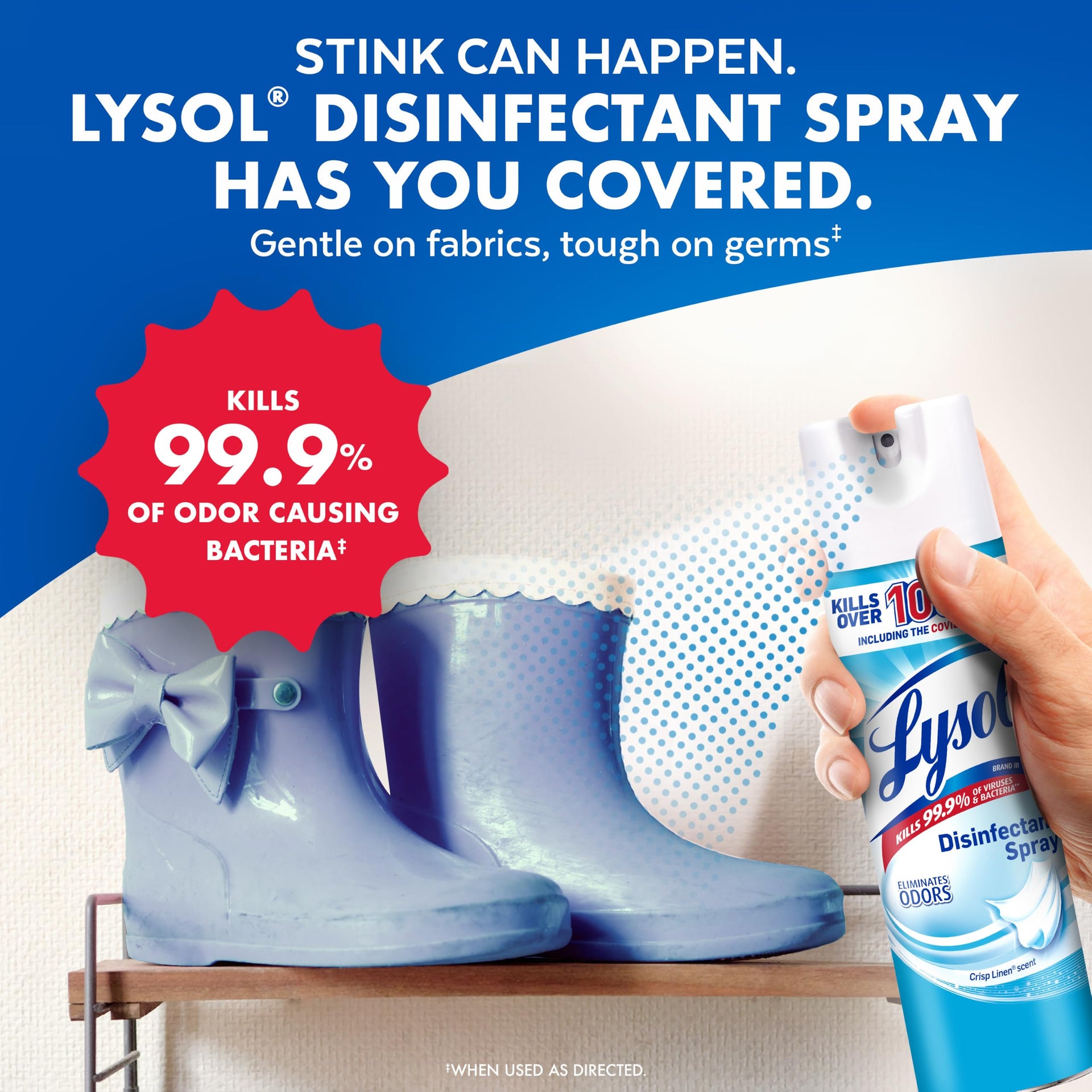 Disinfectant Spray (38 Fl Oz)
