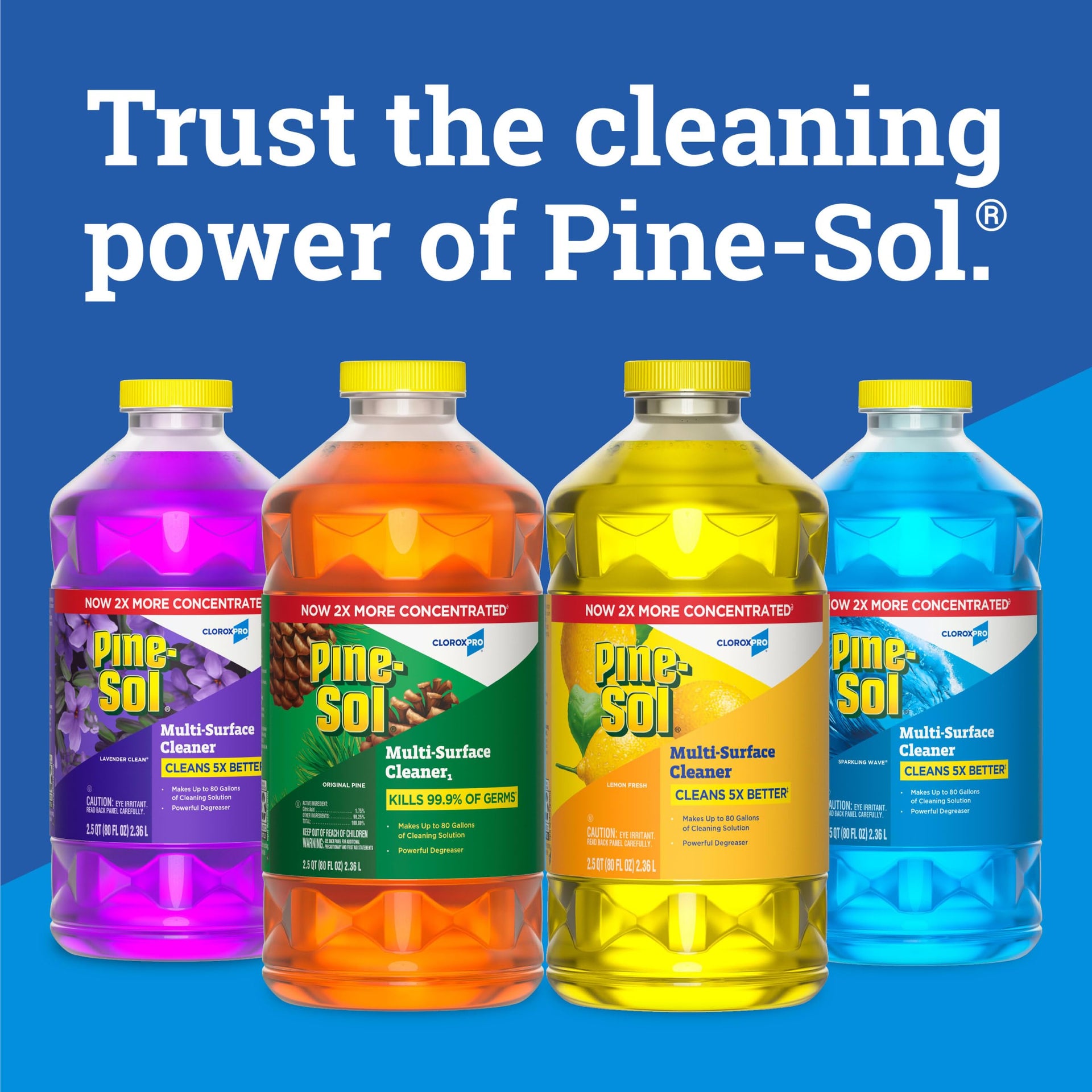 CloroxPro Multi (240 Fl Oz)