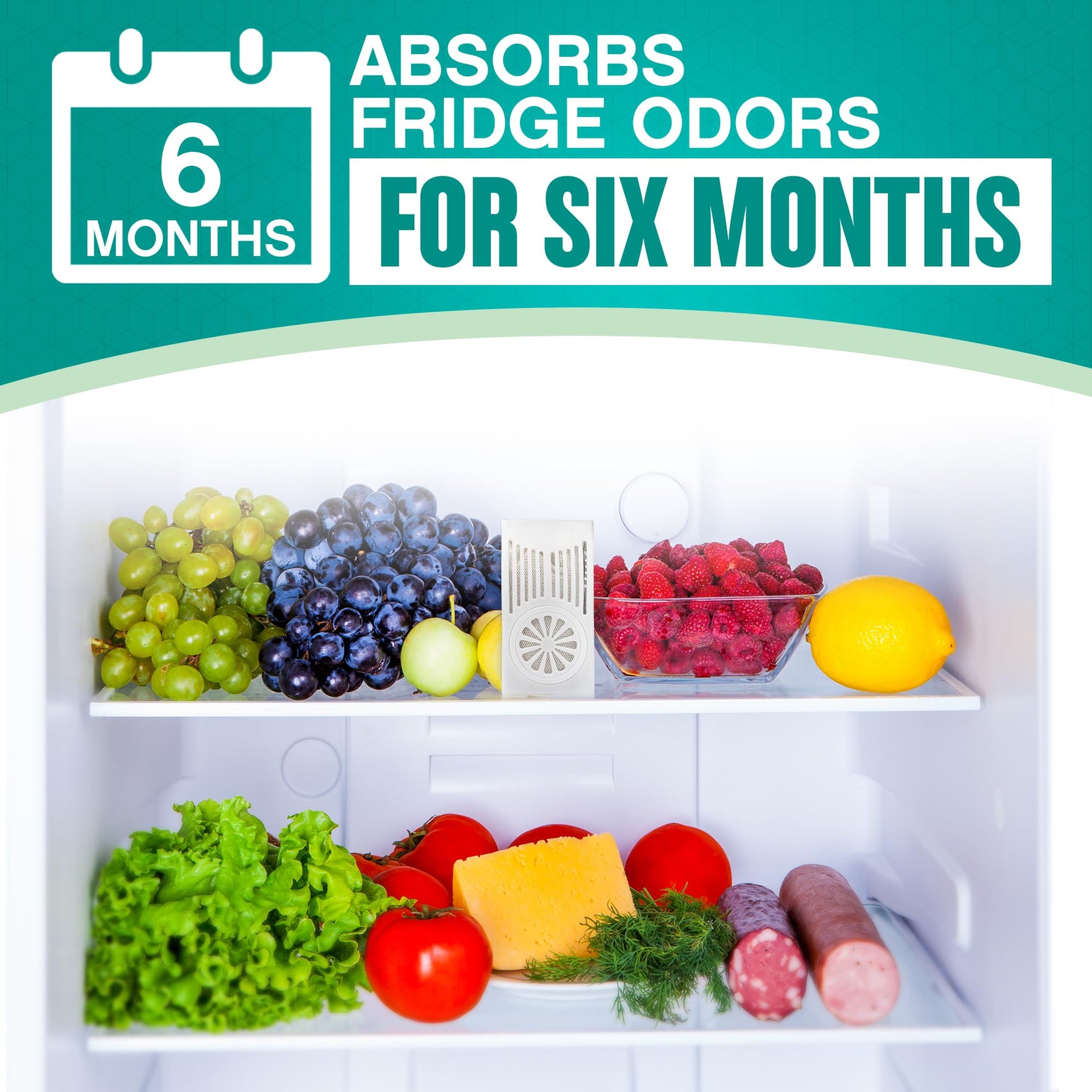 Refrigerator Deodorizer with Zeolites