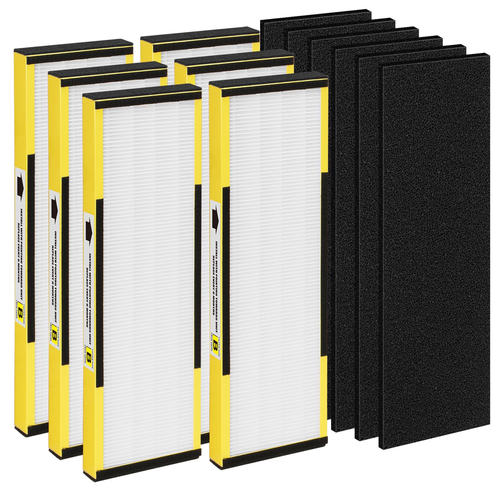 6 Packs FLT4825 H13 True HEPA Replacement Filter B Compatible with AC4300BPTCA (12 Count)