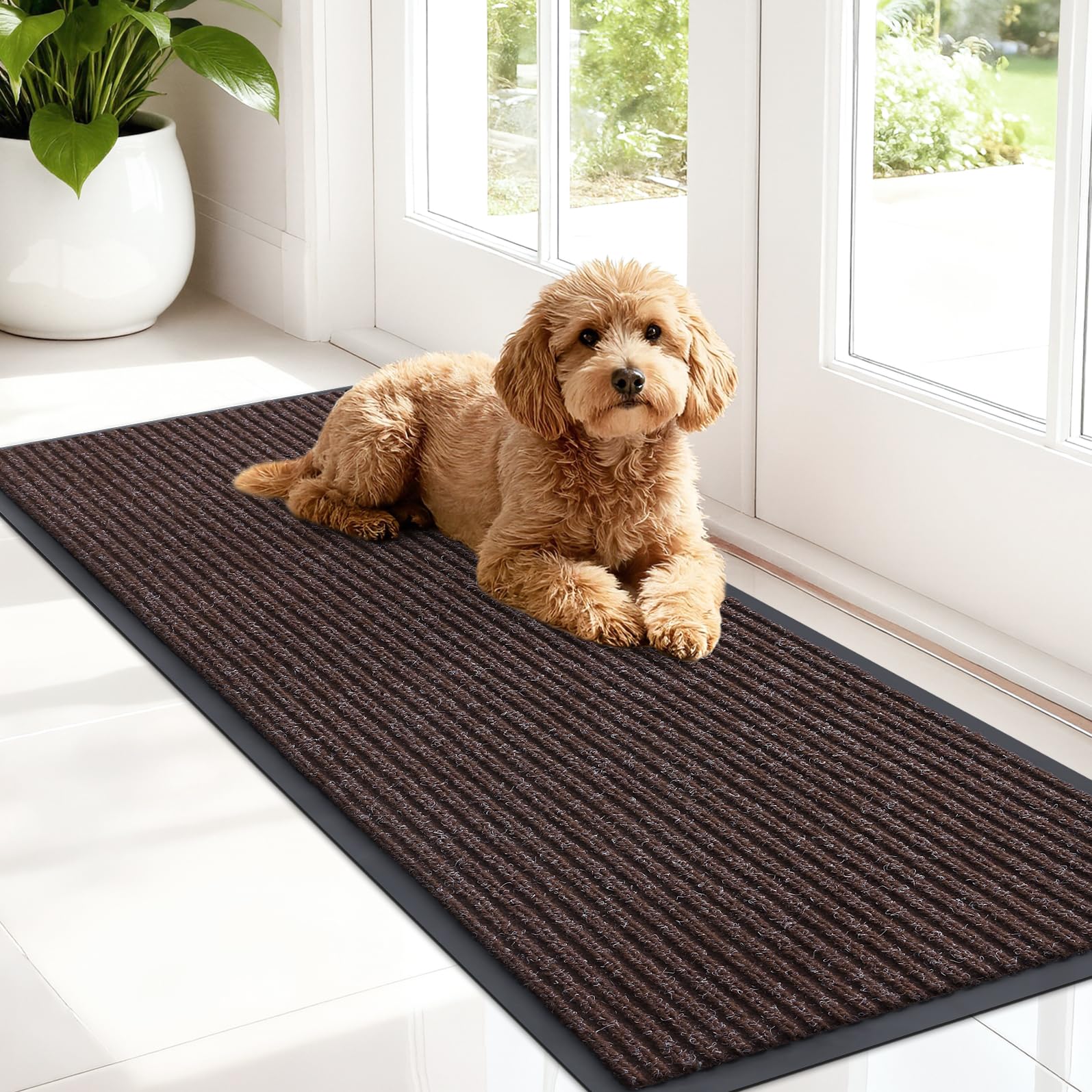 Front Door Mat 47x17