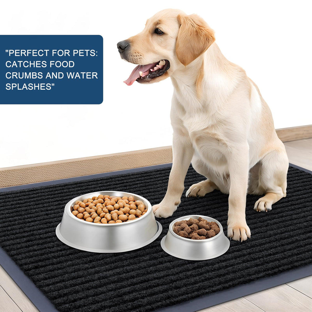 Front Door Mat 47x32