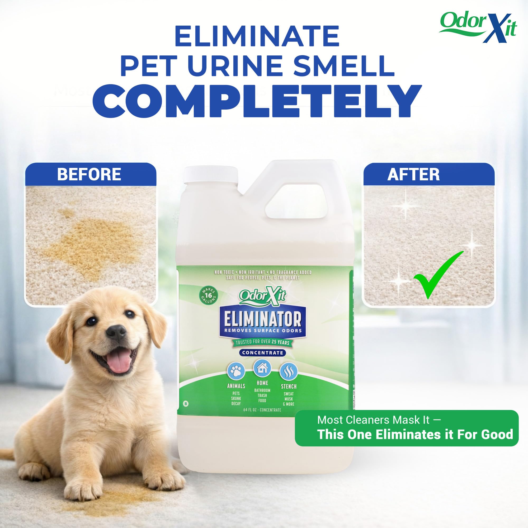 Concentrated Pet Urine Odor Eliminator (64 Fl Oz)