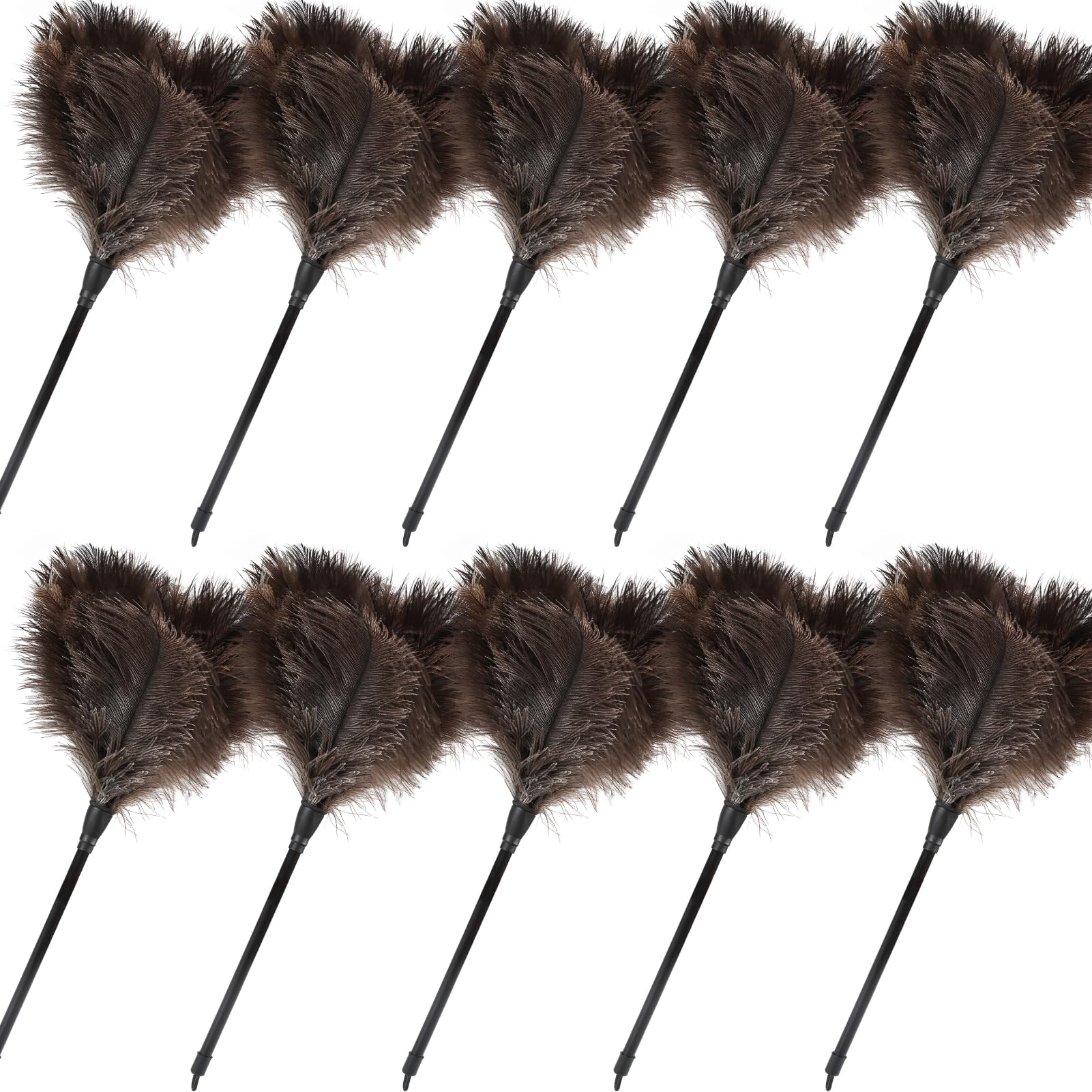 Ostrich Feather Duster (10 Count)
