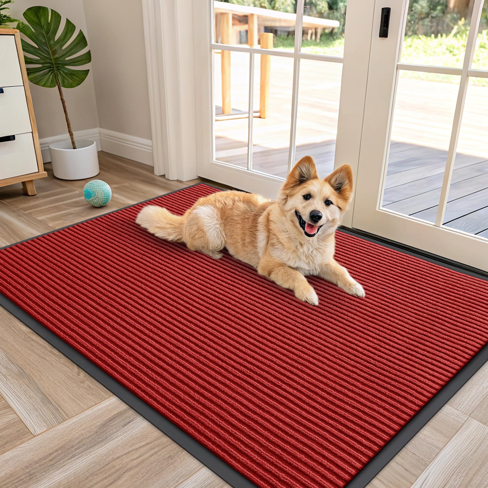 Front Door Mat 47x30