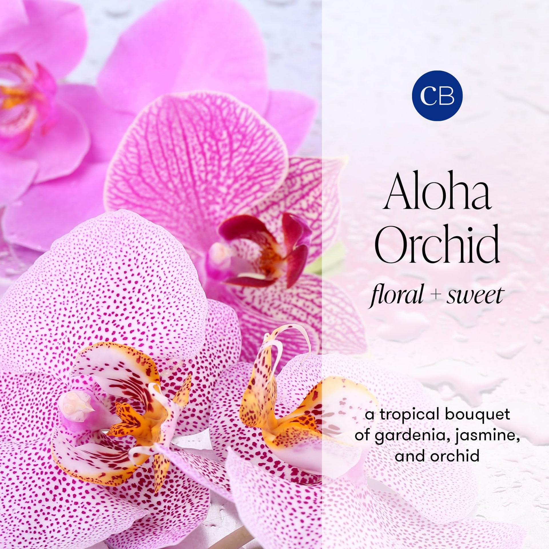 Diffuser Oil Refill