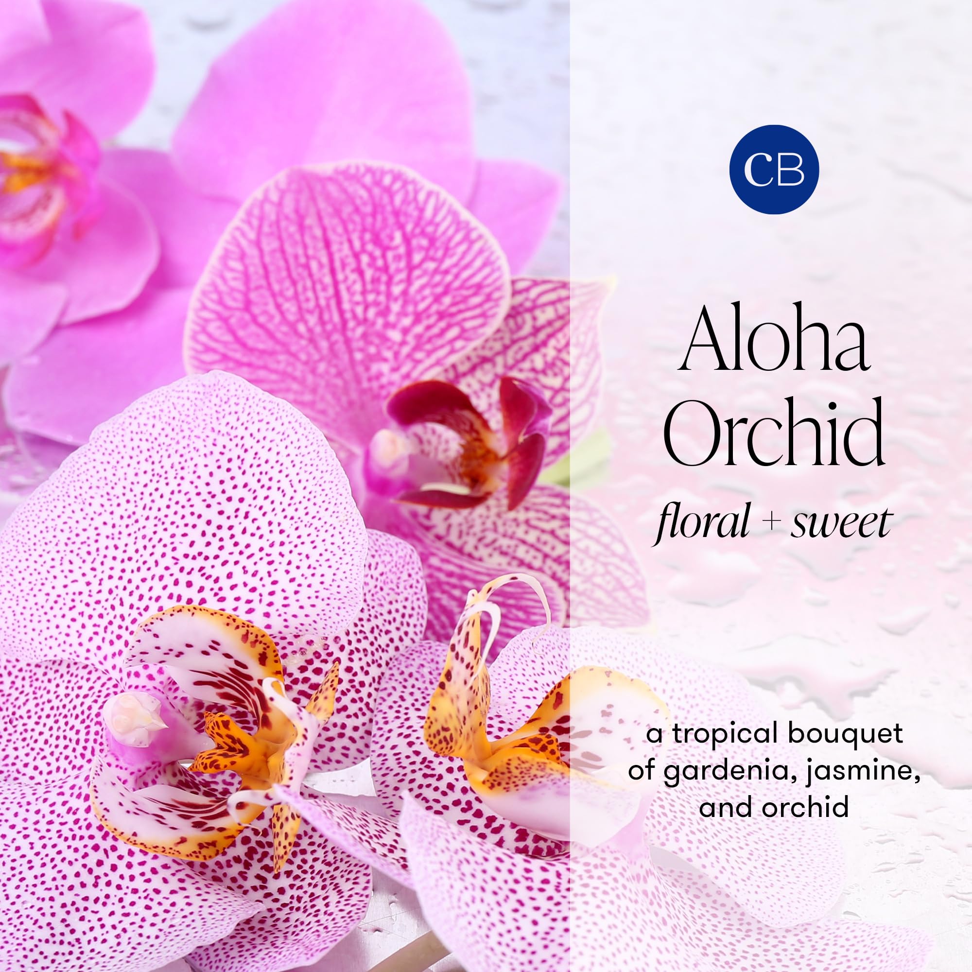 Diffuser Oil Refill