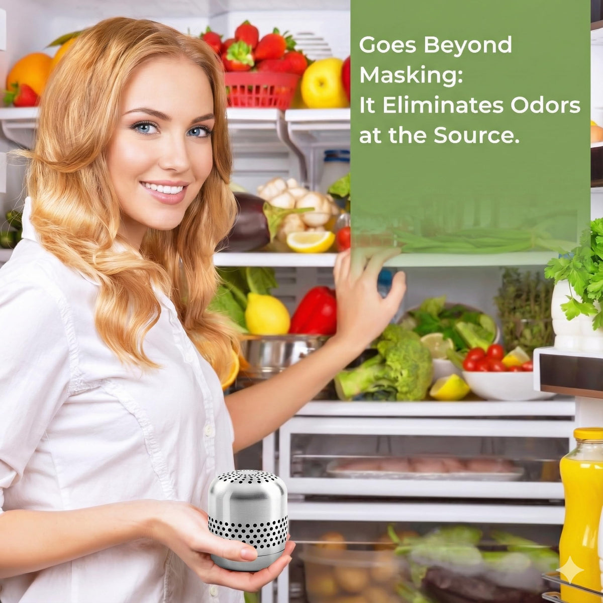 Fridge Deodorizer