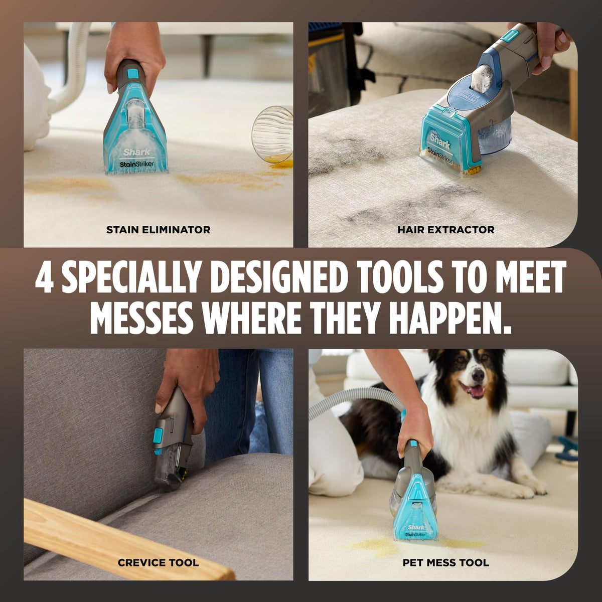 CarpetXpert HairPro StainStriker Carpet & Stain Cleaner