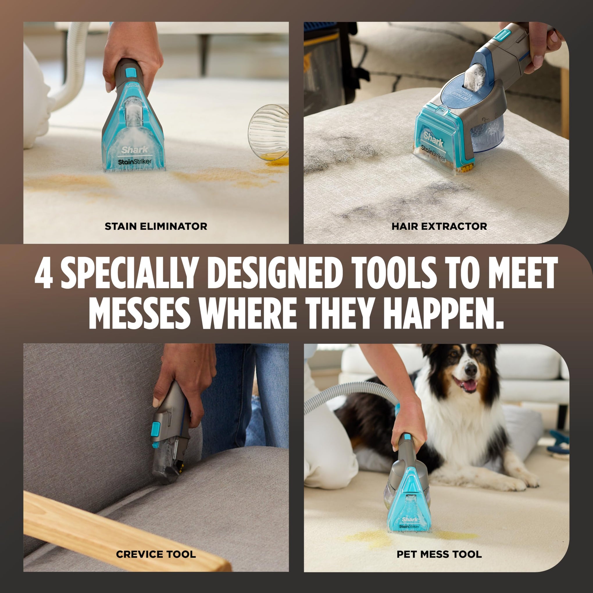 CarpetXpert HairPro StainStriker Carpet & Stain Cleaner