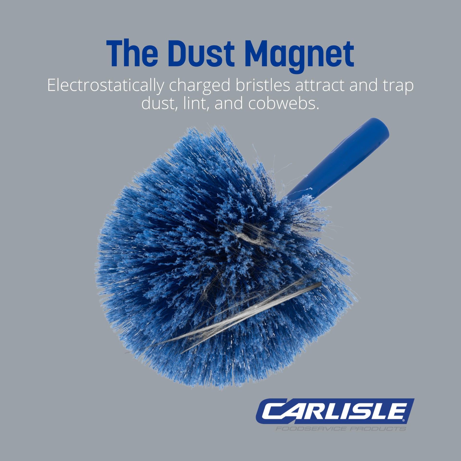Sparta Round Duster Head (12 Count)