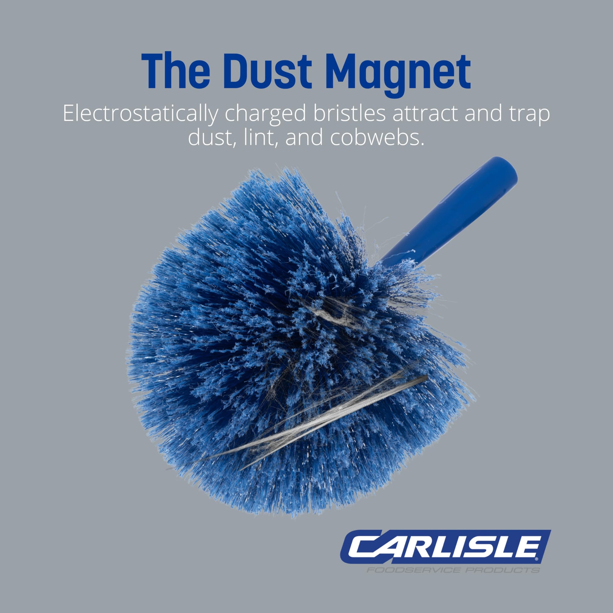Sparta Round Duster Head (12 Count)