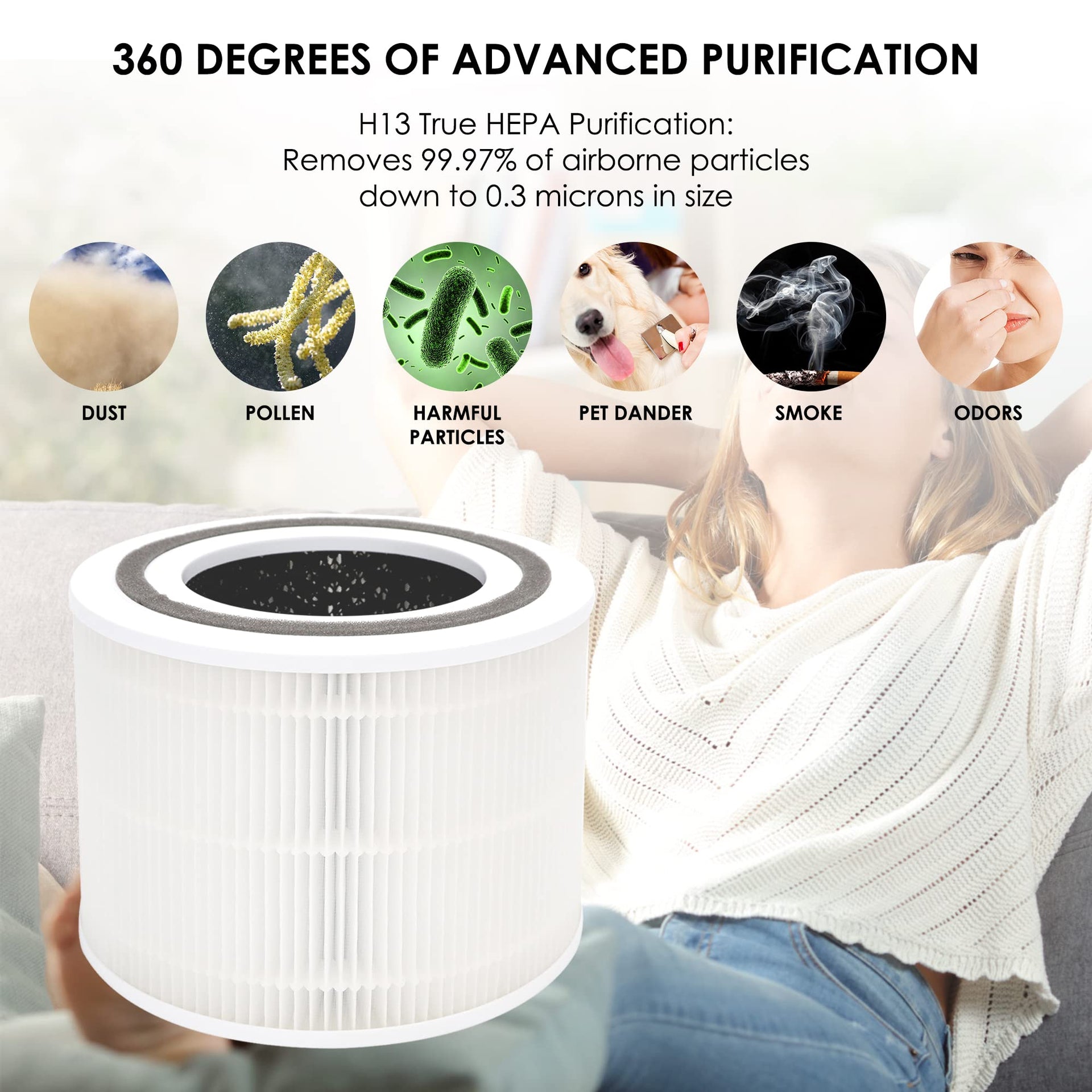 Core 300 Replacement Filters (2 Count)