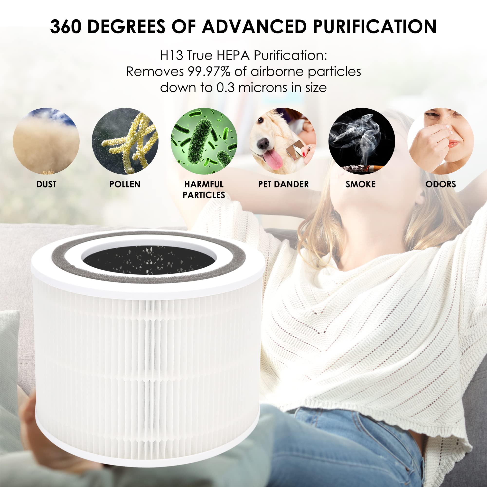 Core 300 Replacement Filters (2 Count)