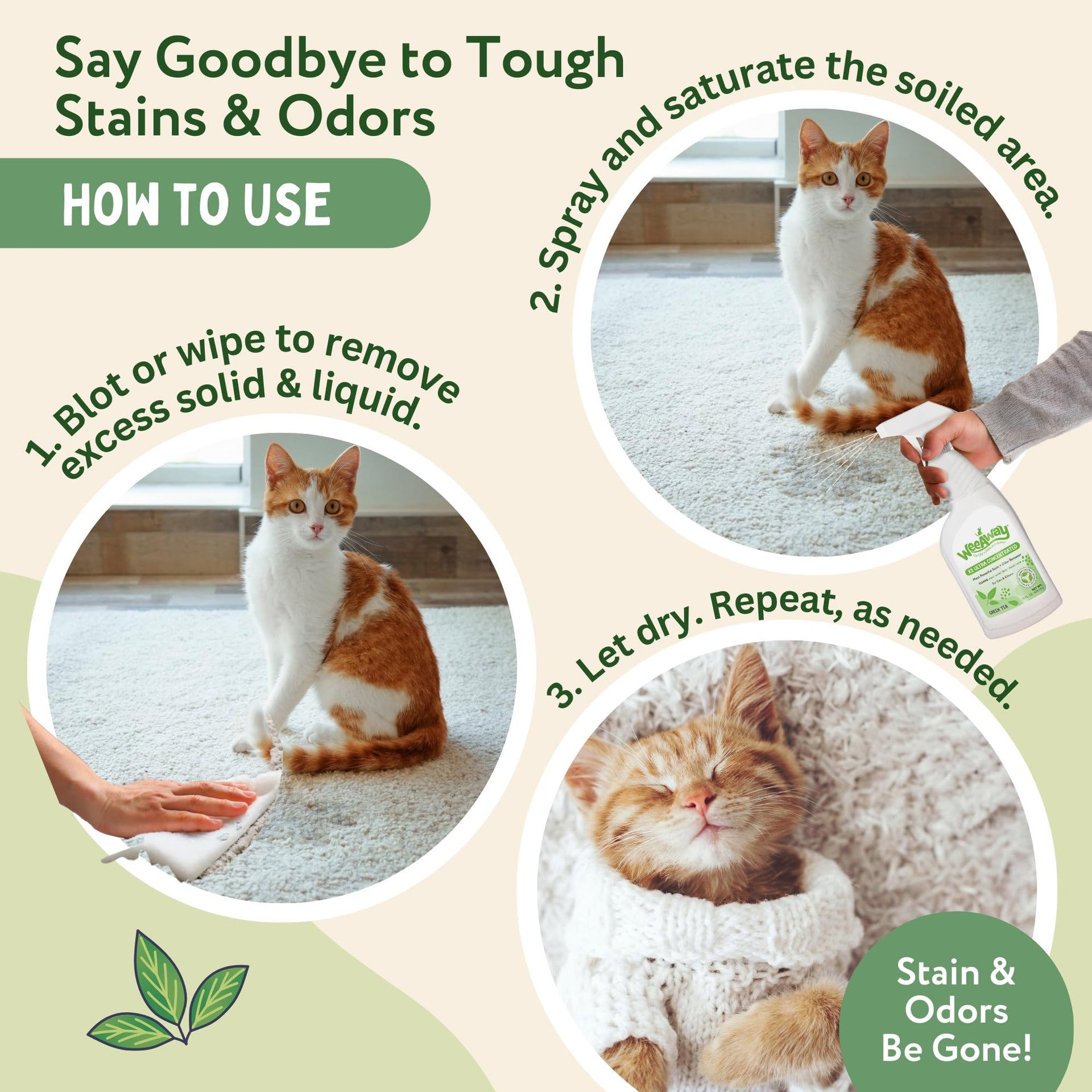 X2 Cat Urine Stain & Odor Remover (16 Fl Oz)