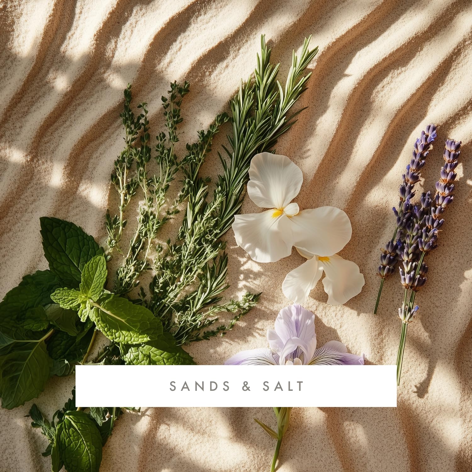 Whisper Essential Monthly Plug