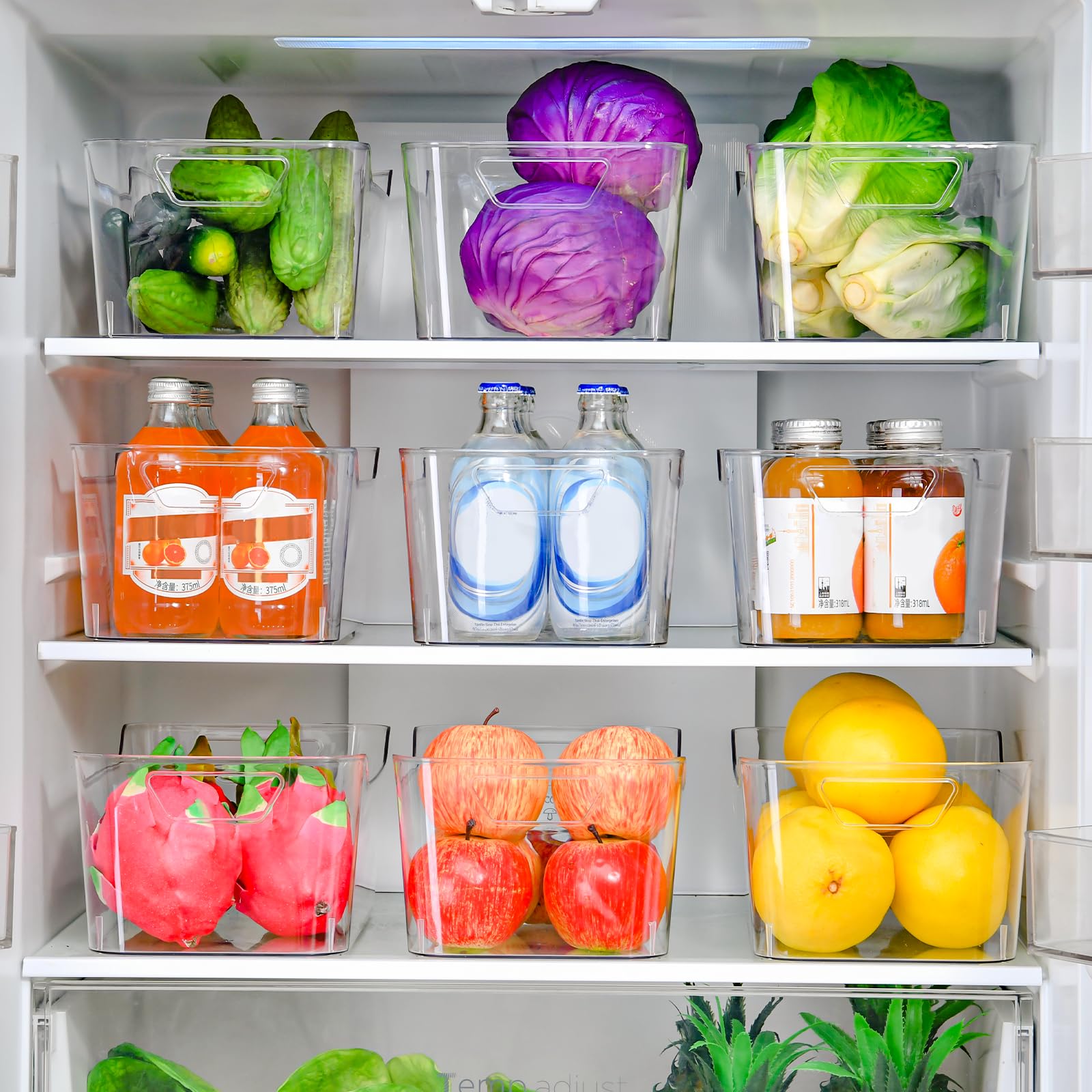 Clear Plastic Storage Bins (12 Count)