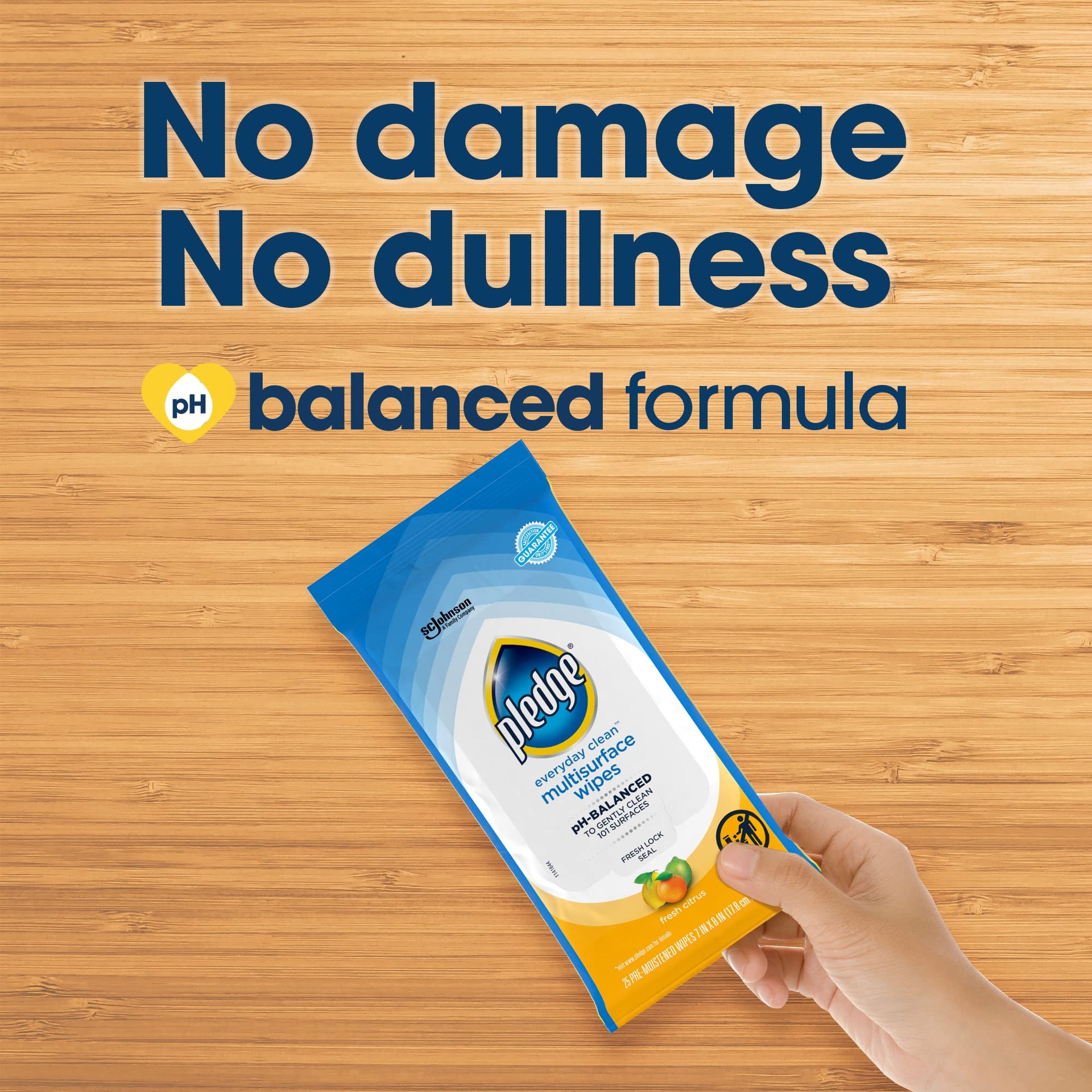 Multisurface Cleaning Wipes (3 Count)