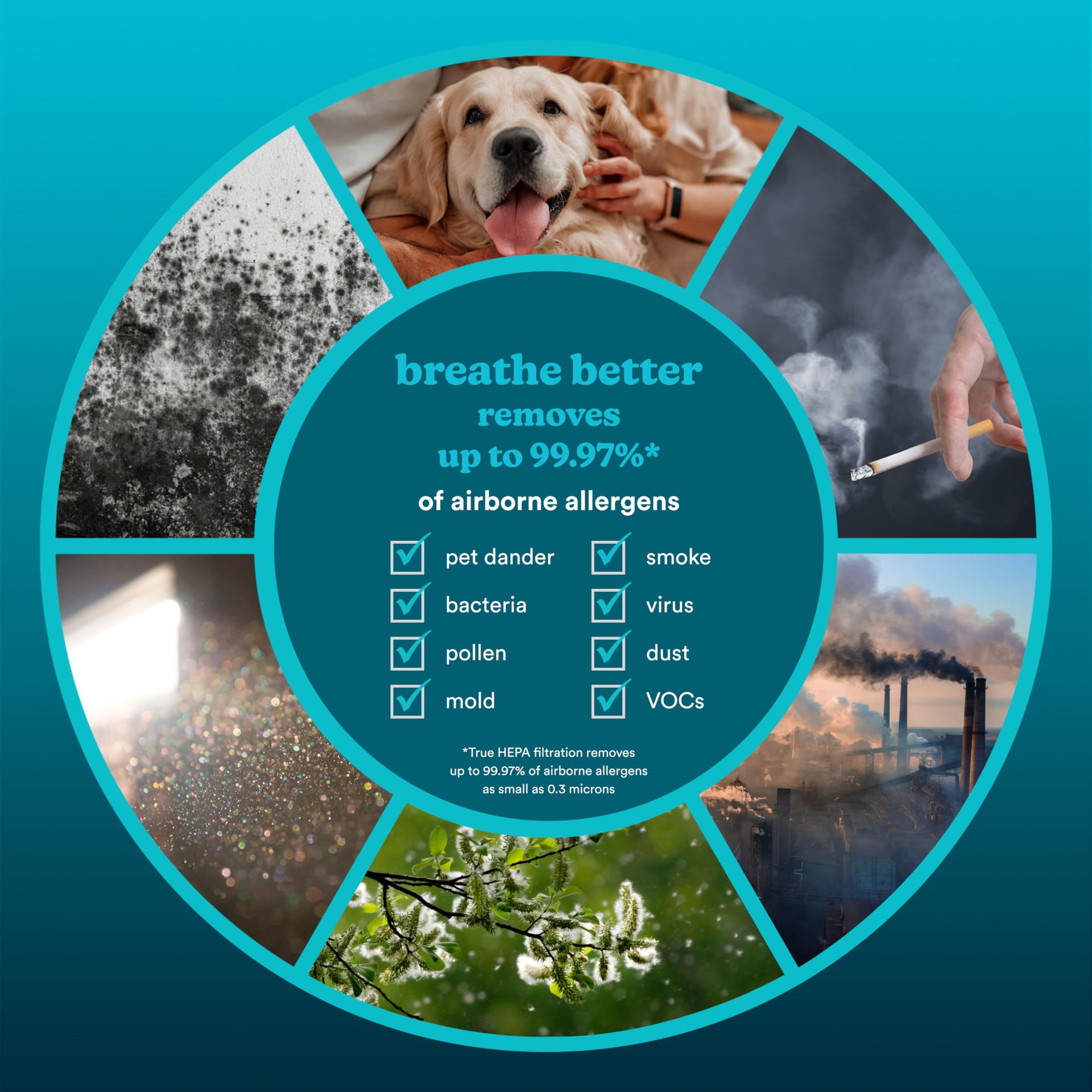 Smart Air Purifier 4