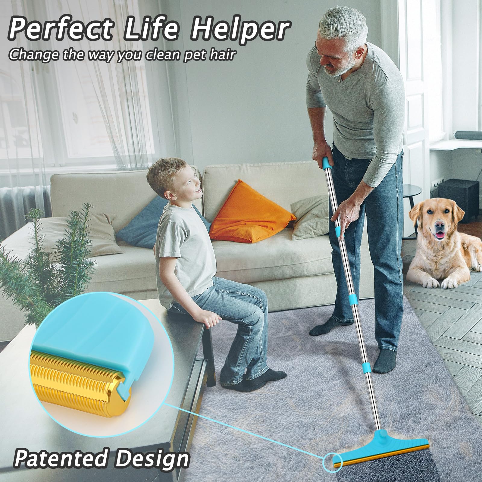 Carpet Rake for Pet Hair Removal Tool - ModHome Supplies