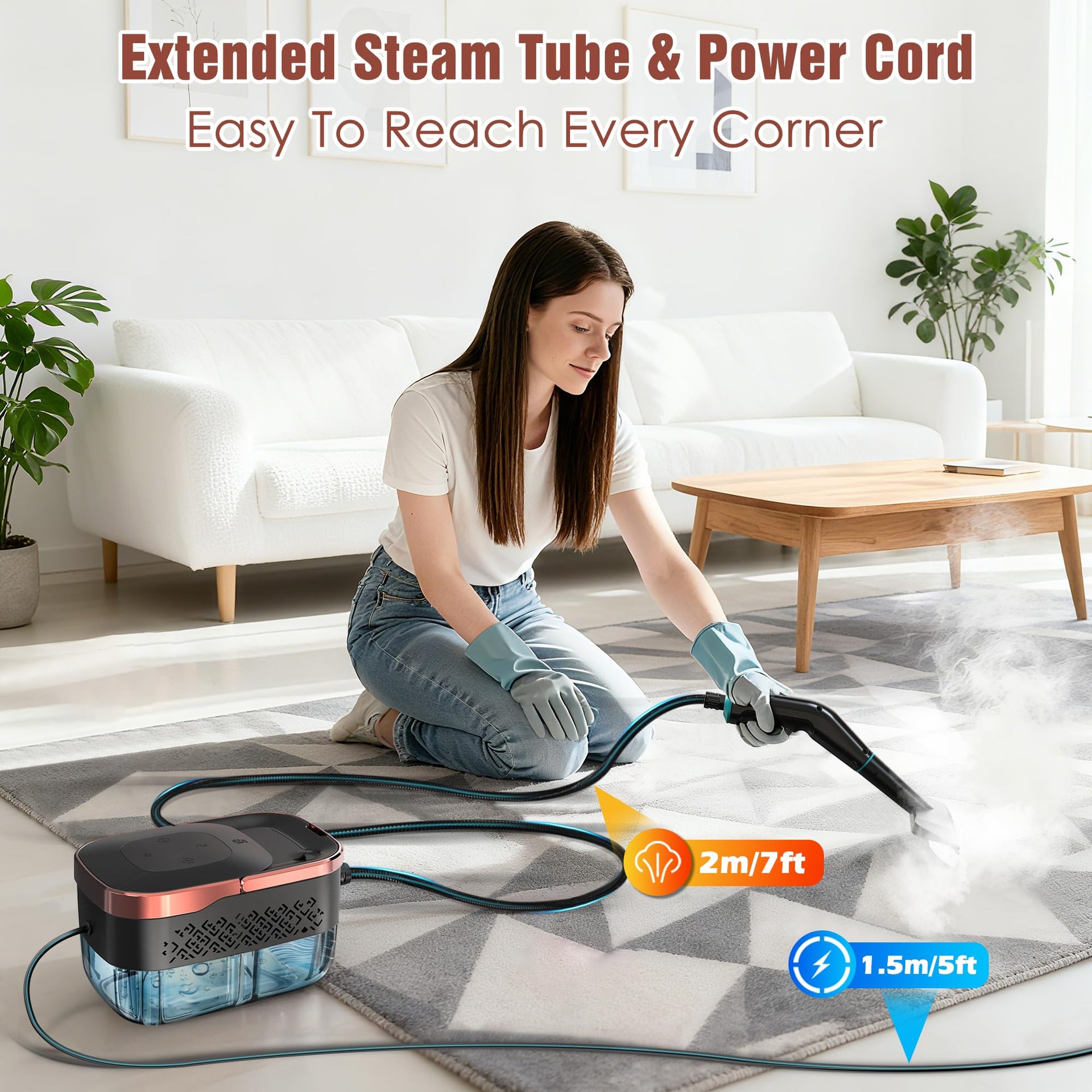 Steam Cleaner