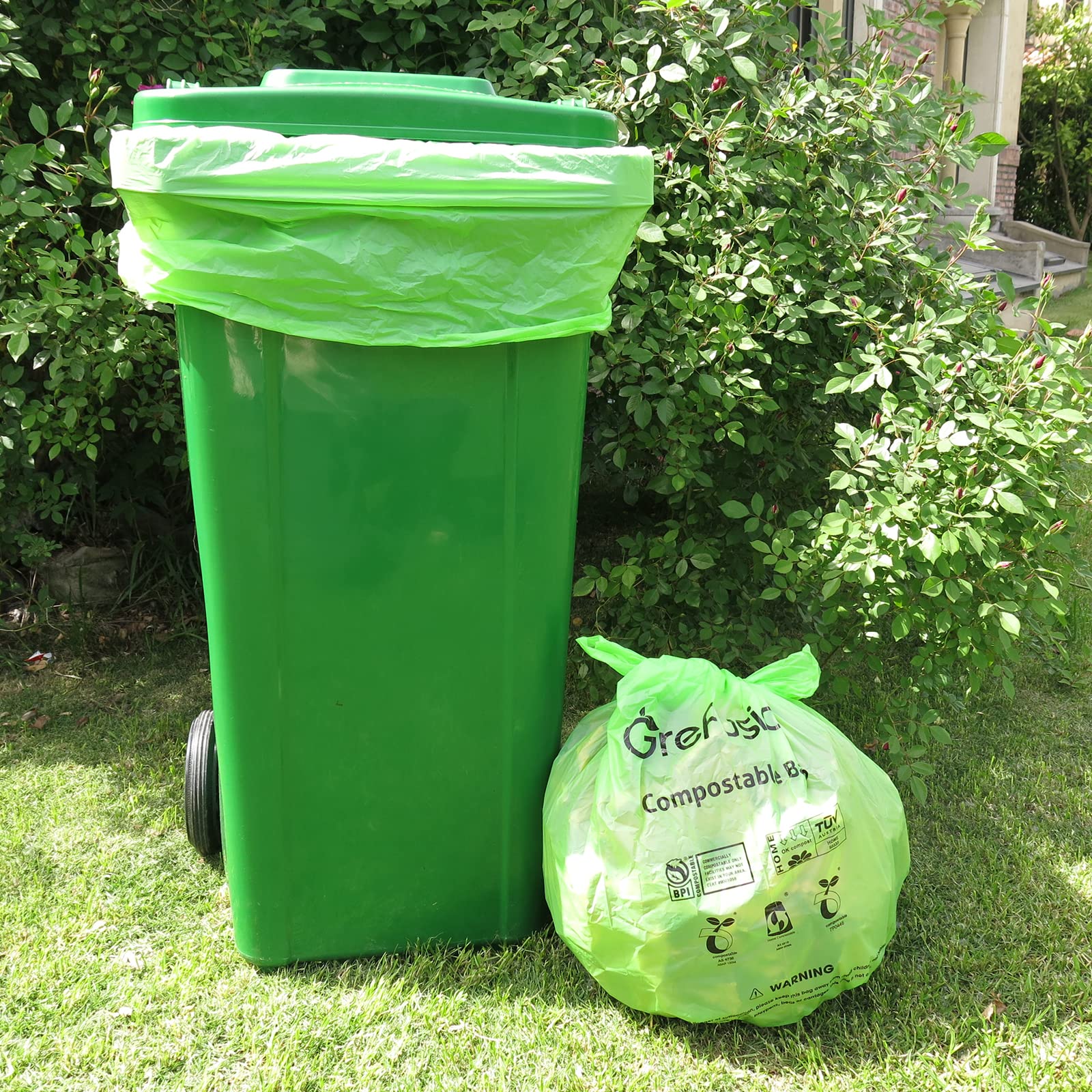 Compostable Bags (50 Count)