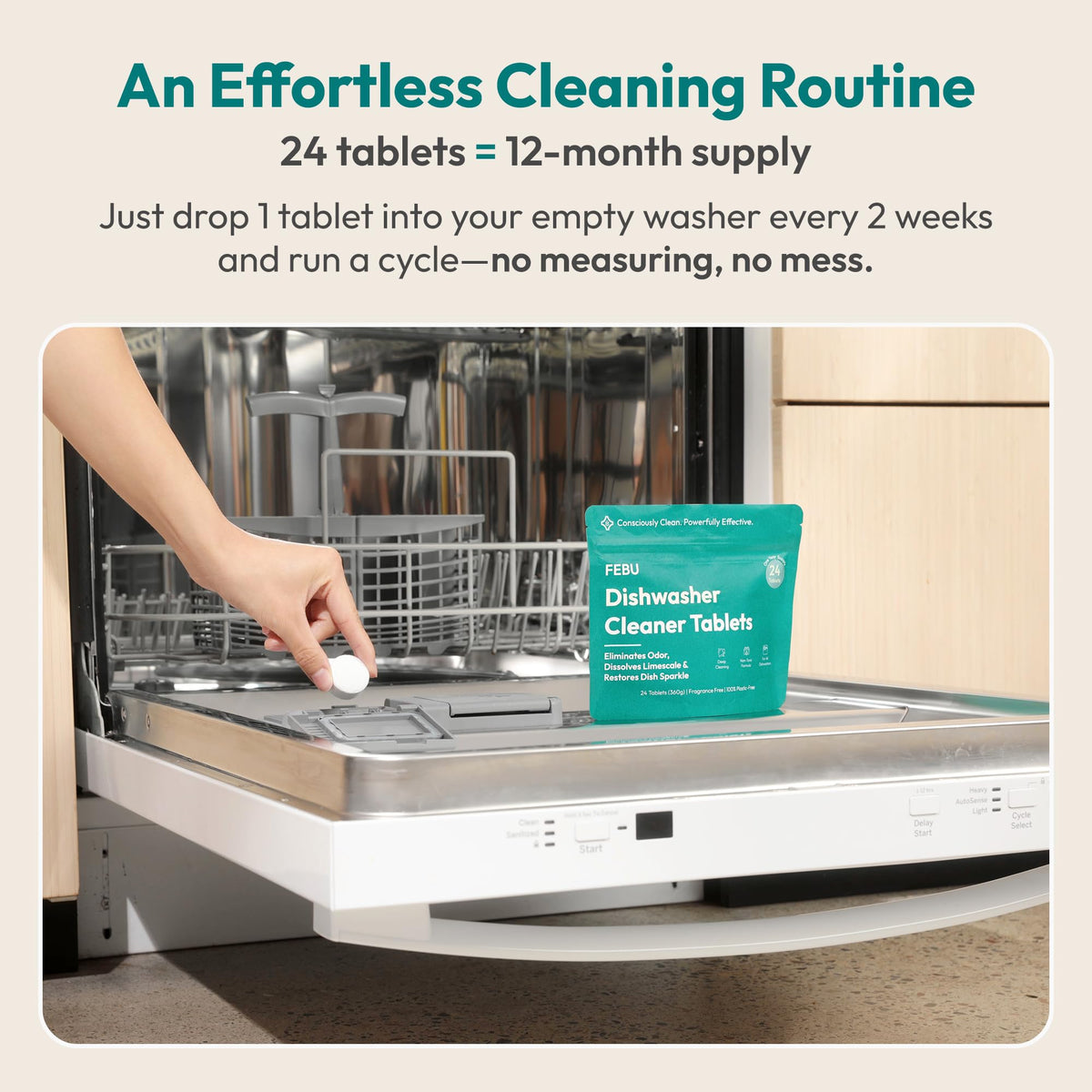 Dishwasher Cleaner Tablets (24 Count)