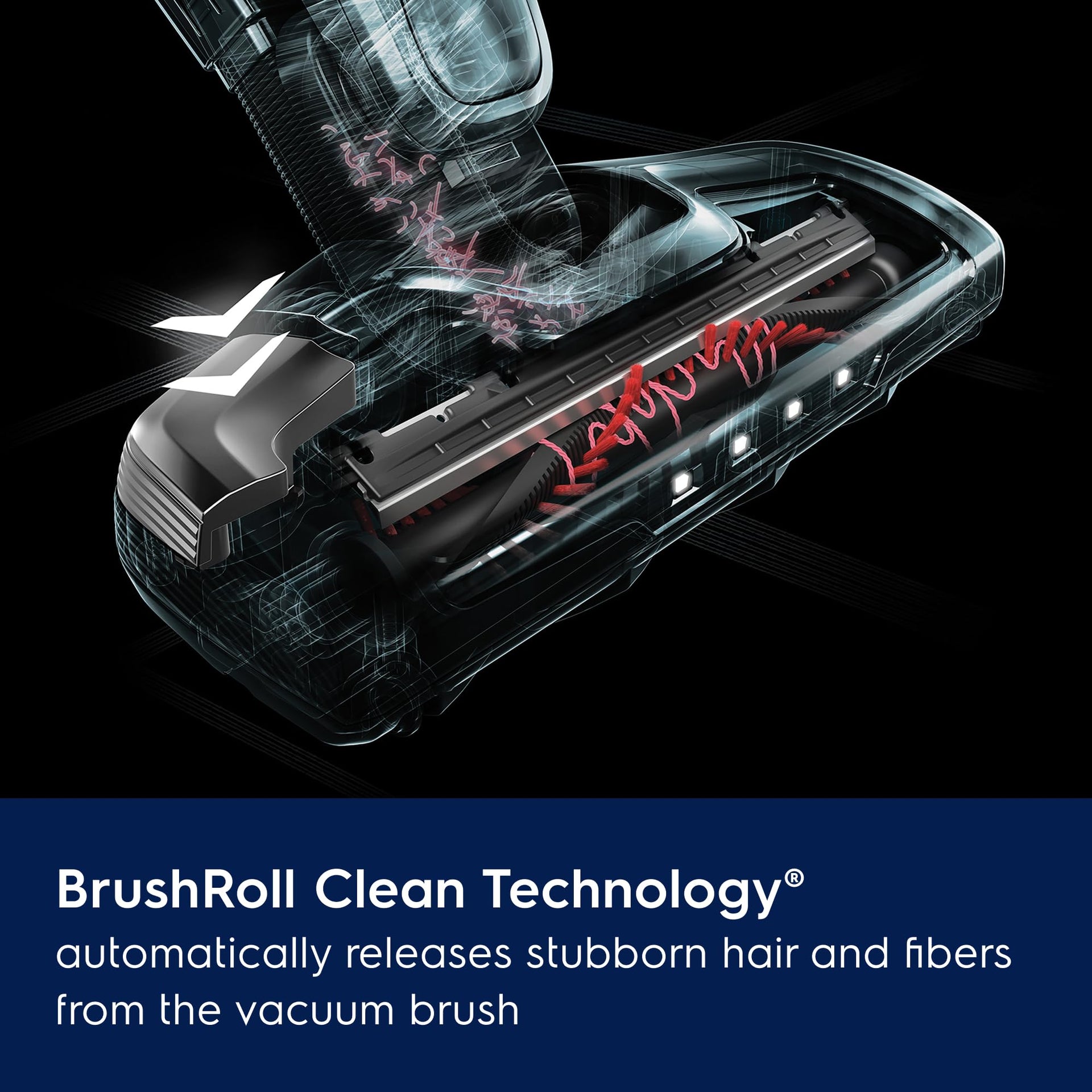 Ergorapido Pet Cordless 2