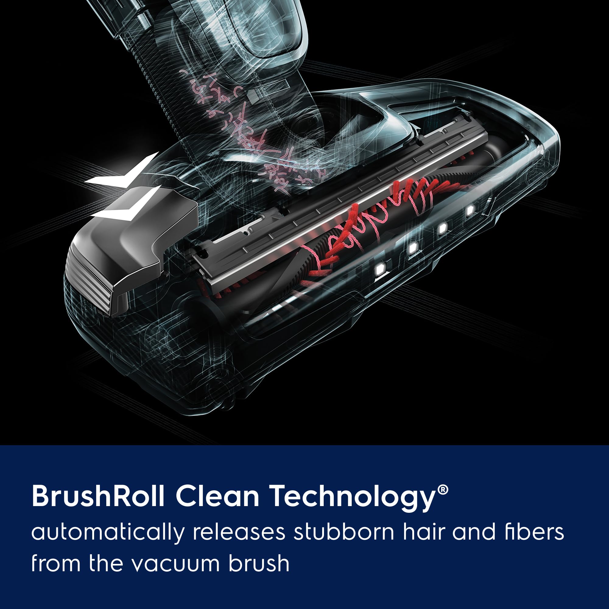 Ergorapido Pet Cordless 2