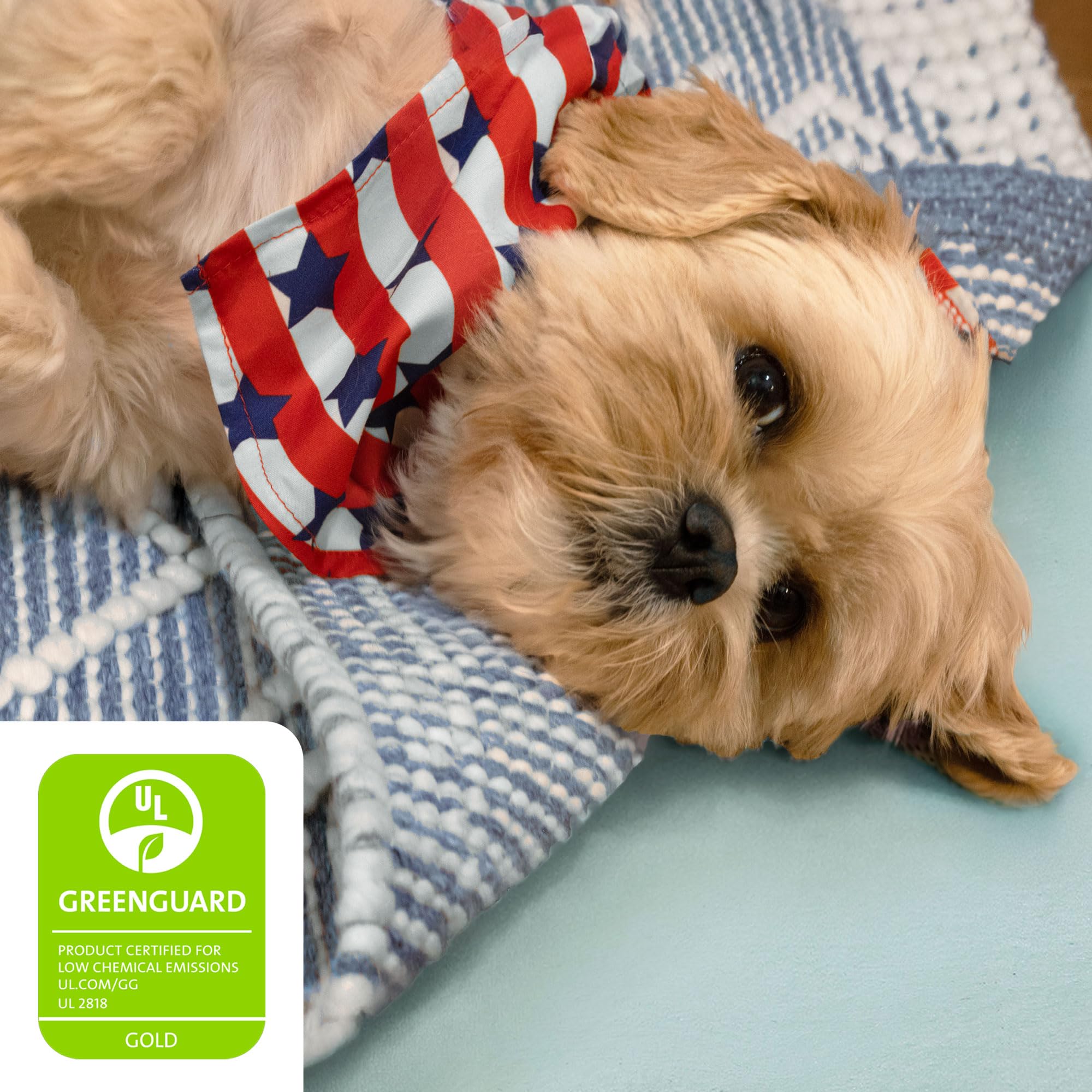 Cloud Comfort Memory Foam (71.25 Sq Ft)