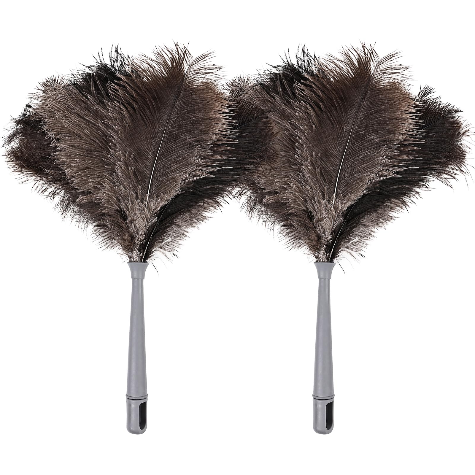 Feather Duster (2 Count)