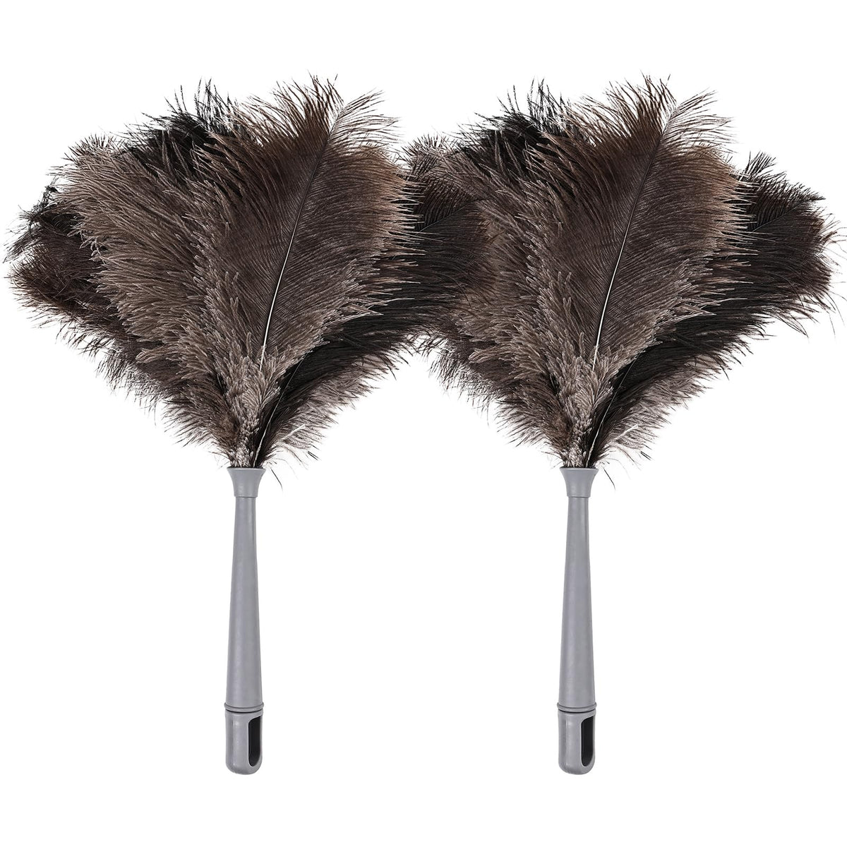 Feather Duster (2 Count)