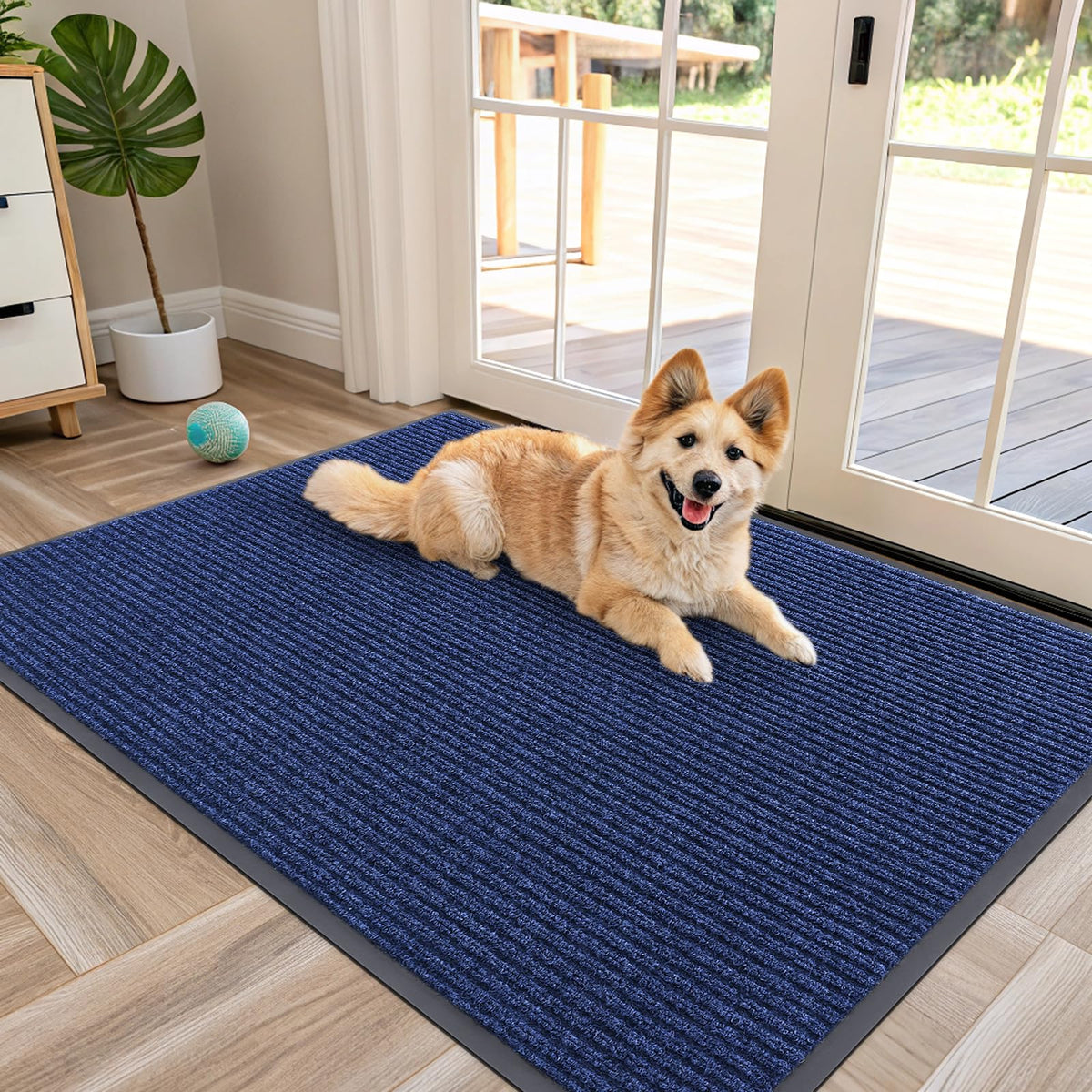 Front Door Mat 47x30