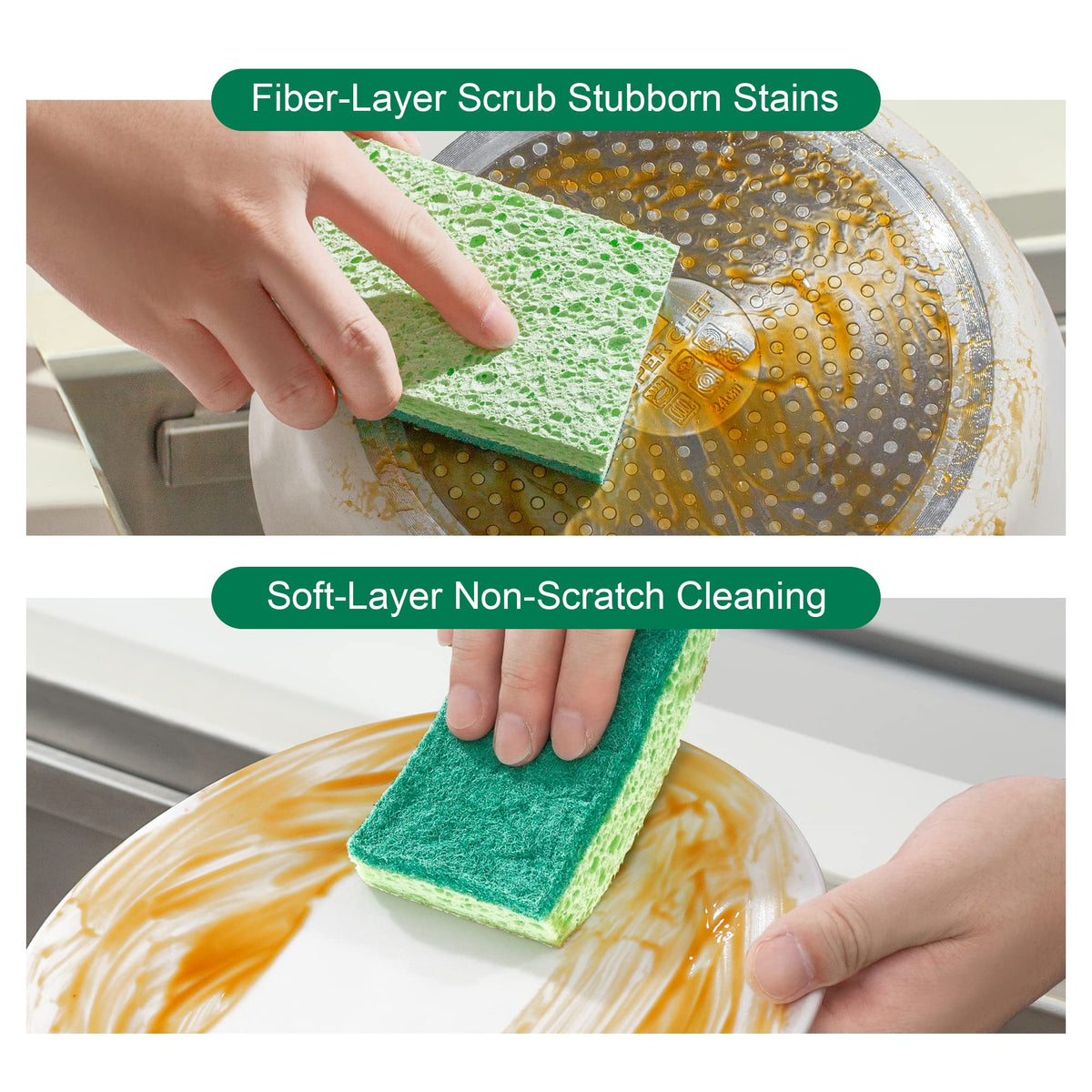 Clean Sponges (6 Count)